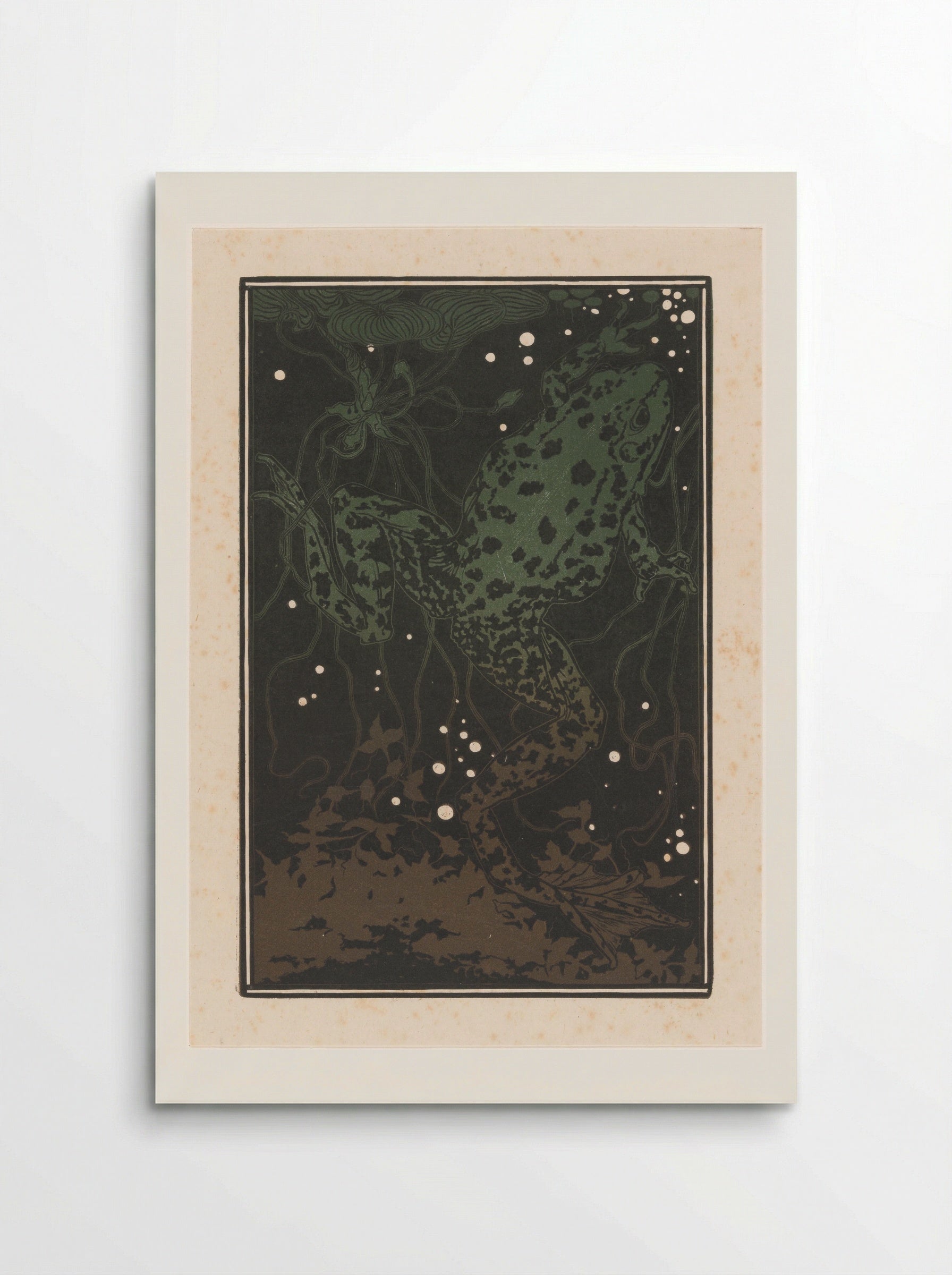 Zwemmende kikker (Swimming Frog) - Julie de Graag - Poster