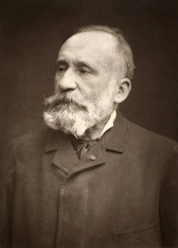 Pierre Puvis De Chavannes portrait