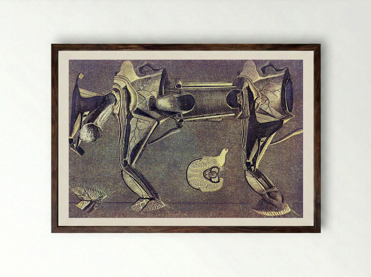 Untitled (Anatomical Study of a Horse and Bird) - Fine Art Print - Framed Print Dark Wood
