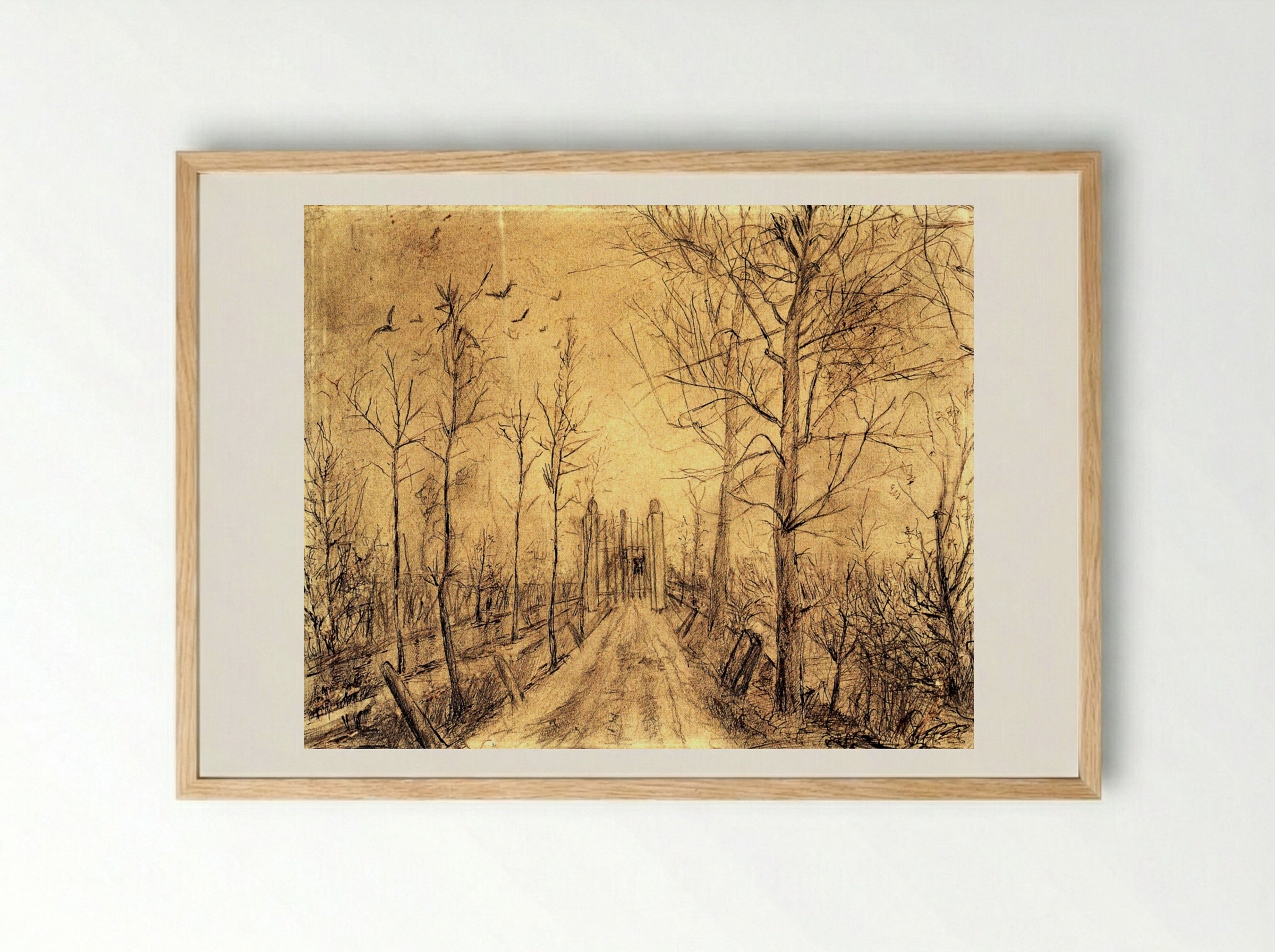Untitled (Driveway with Trees and Birds) - Fine Art Print - Framed Print Wood
