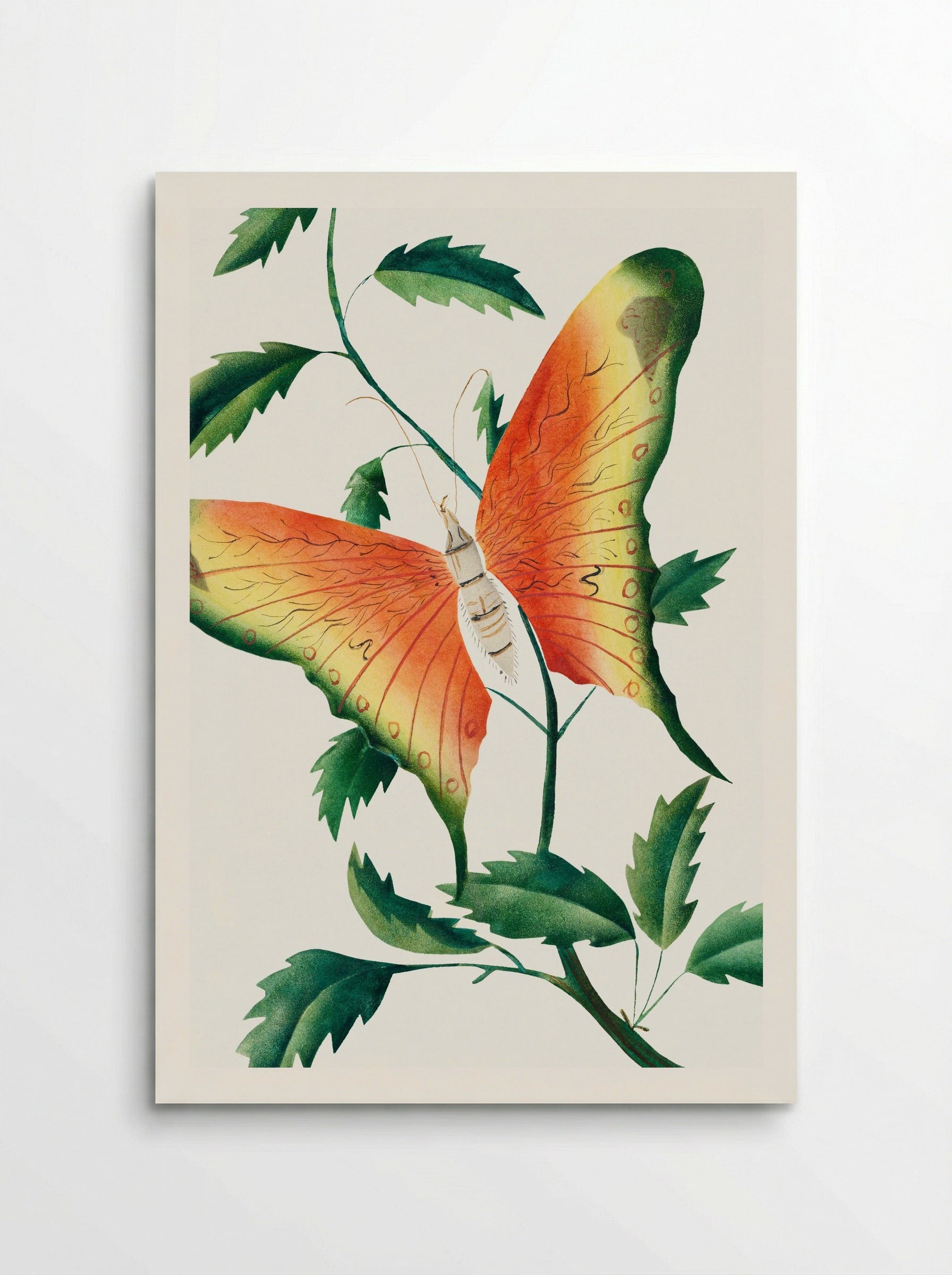 Rose Bush and Butterfly - Mary Altha Nims - Poster