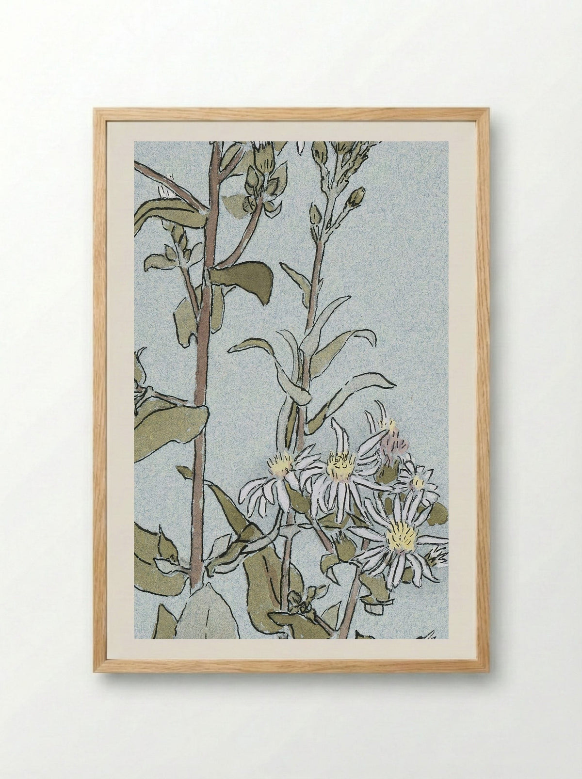 Aster (1915) - Hannah Borger Overbeck - Framed Print Wood