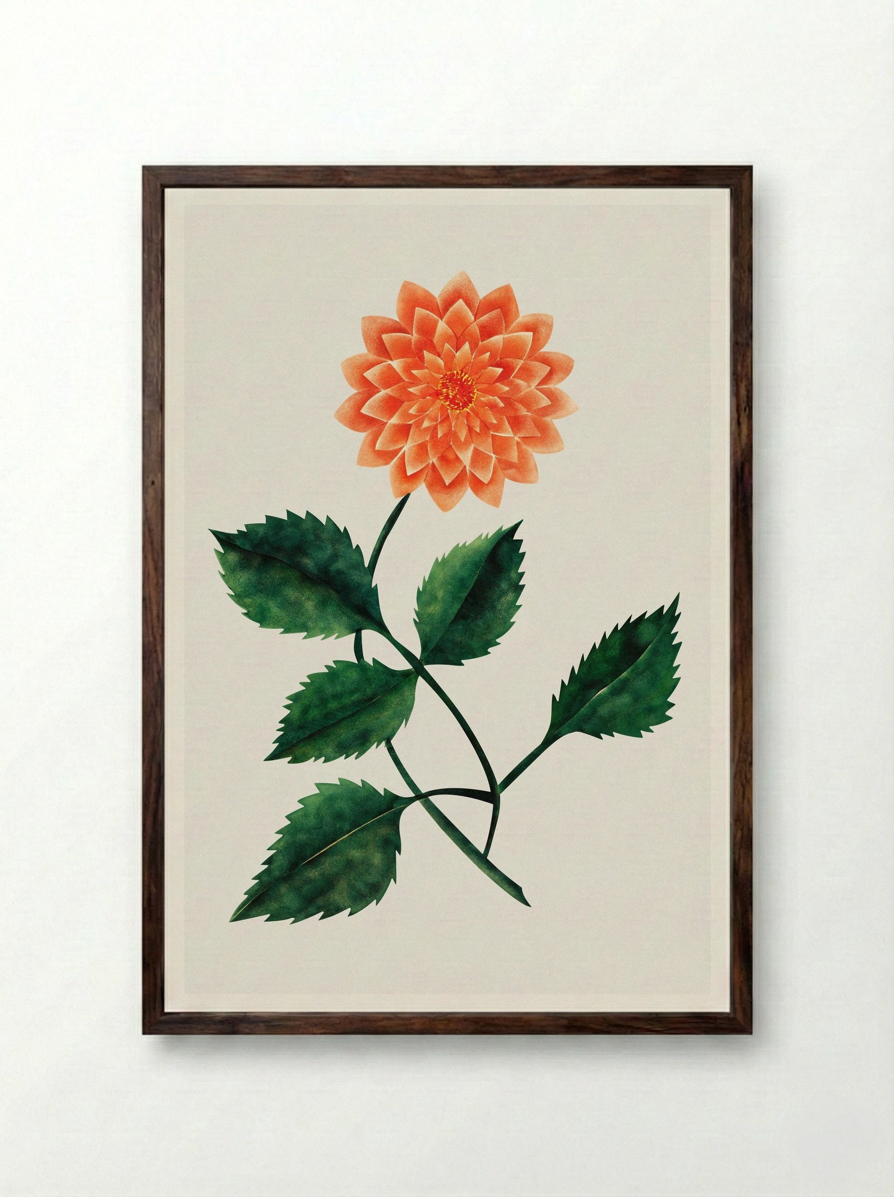 Dahlia - Mary Altha Nims - Framed Print Dark Wood