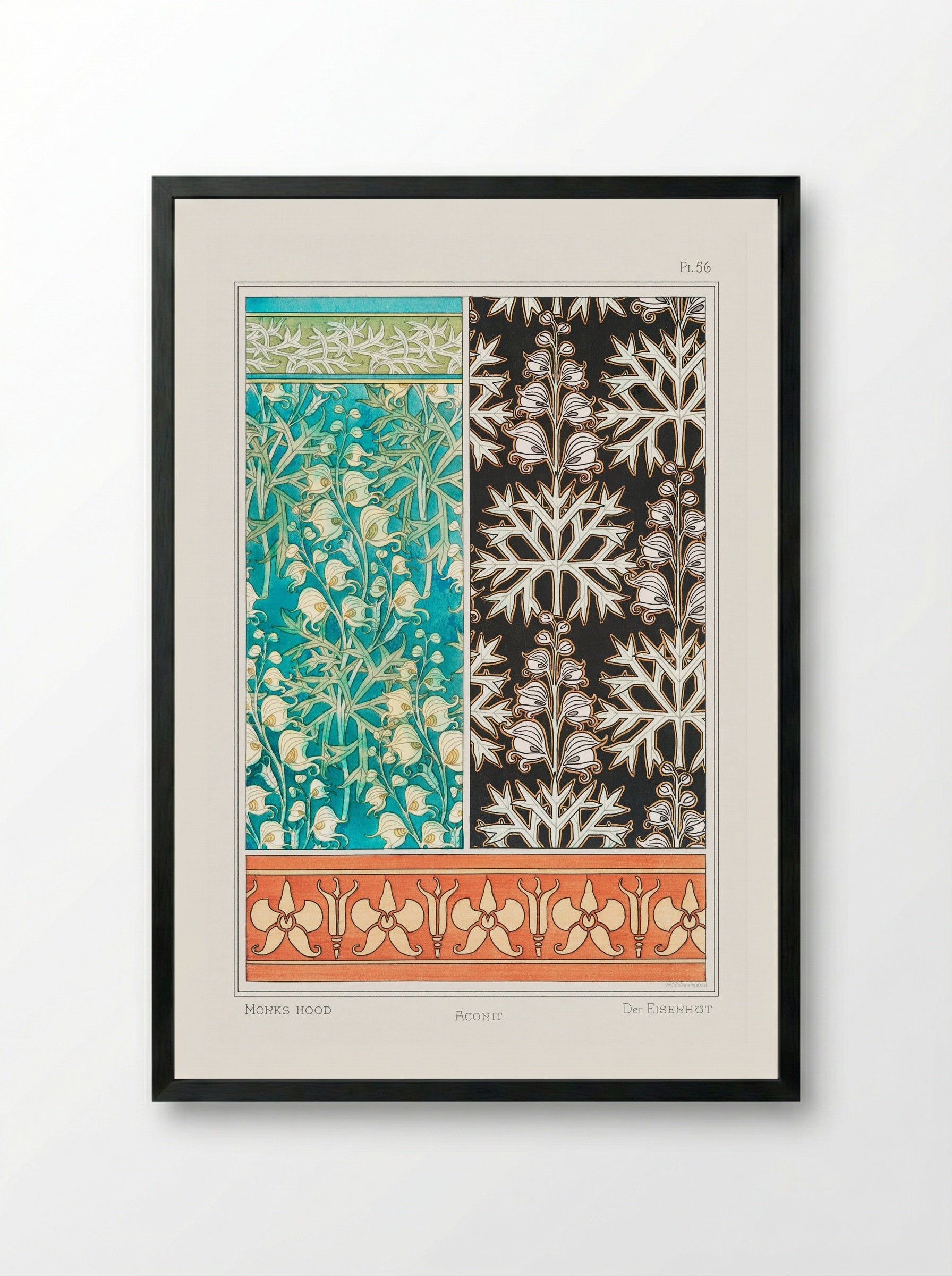 Aconite (Monkshood) from La Plante et ses Applications ornementales - Maurice Pillard Verneuil - Framed Print Black