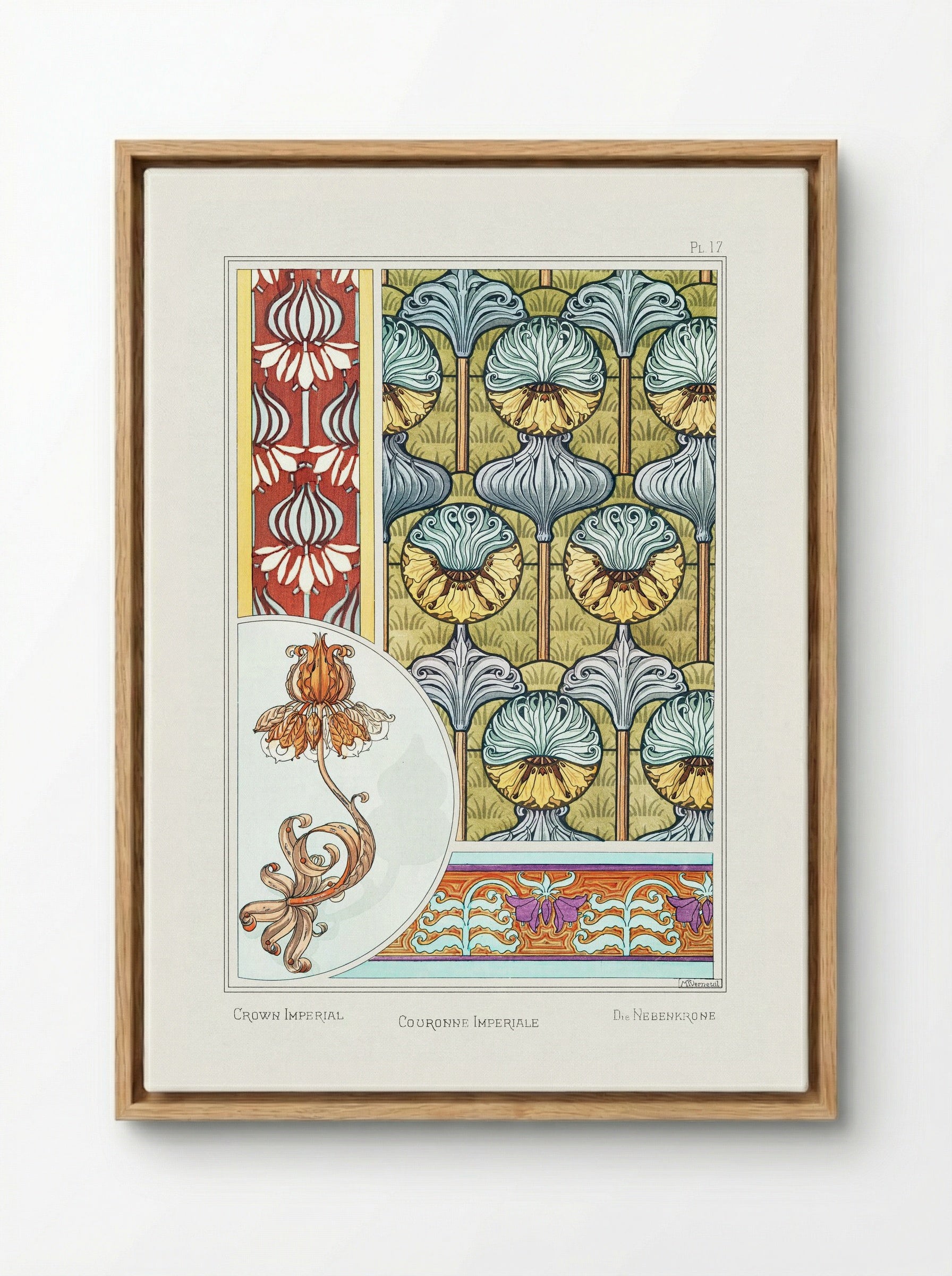 Couronne Impériale (Crown Imperial) from La Plante et ses Applications ornementales - Maurice Pillard Verneuil - Framed Canvas Wood