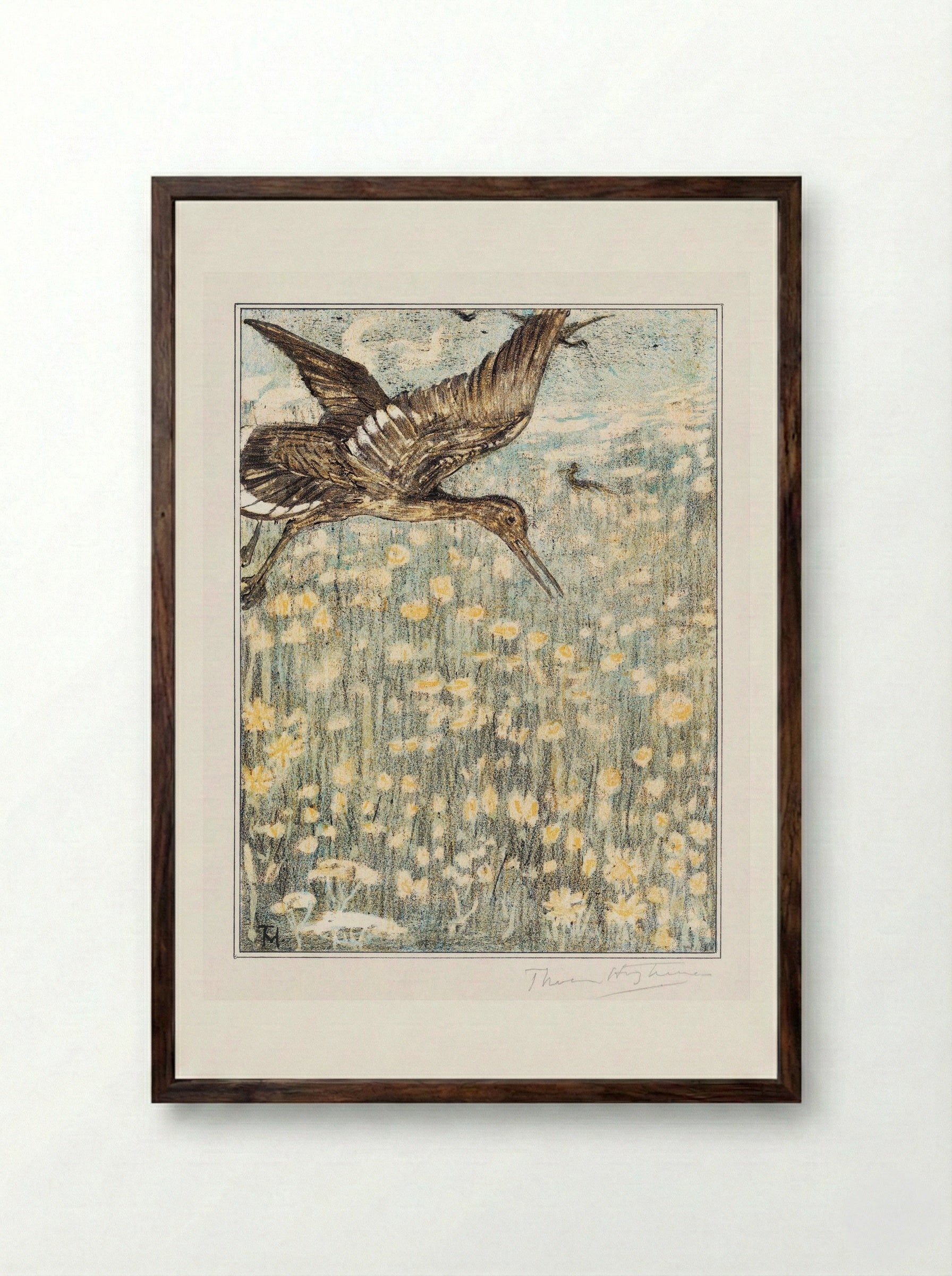 Tureluur (Redshank) - Theo van Hoytema - Framed Print Dark Wood