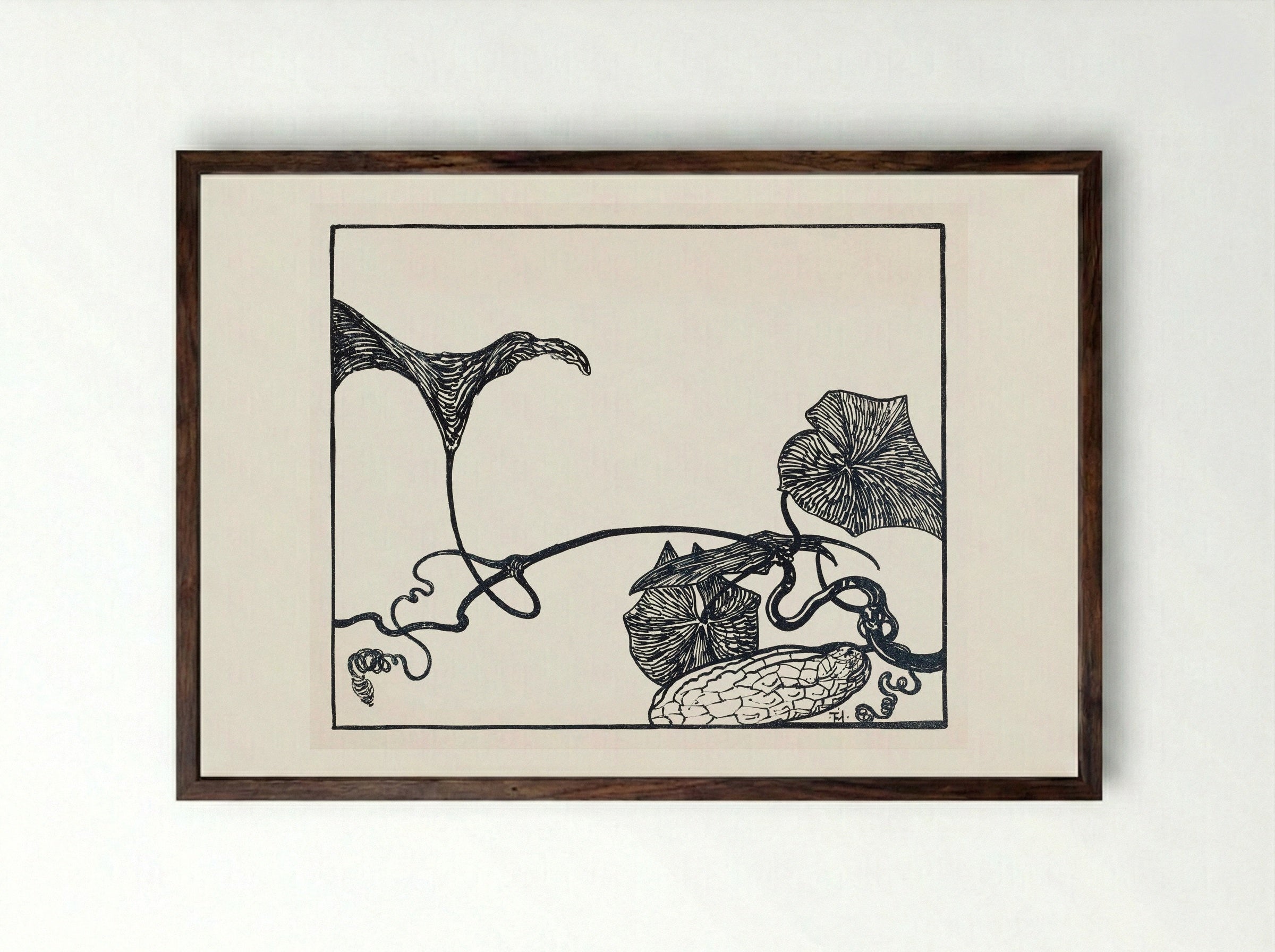 Augurkenplant (Gherkin Plant) - Theo van Hoytema - Framed Print Dark Wood
