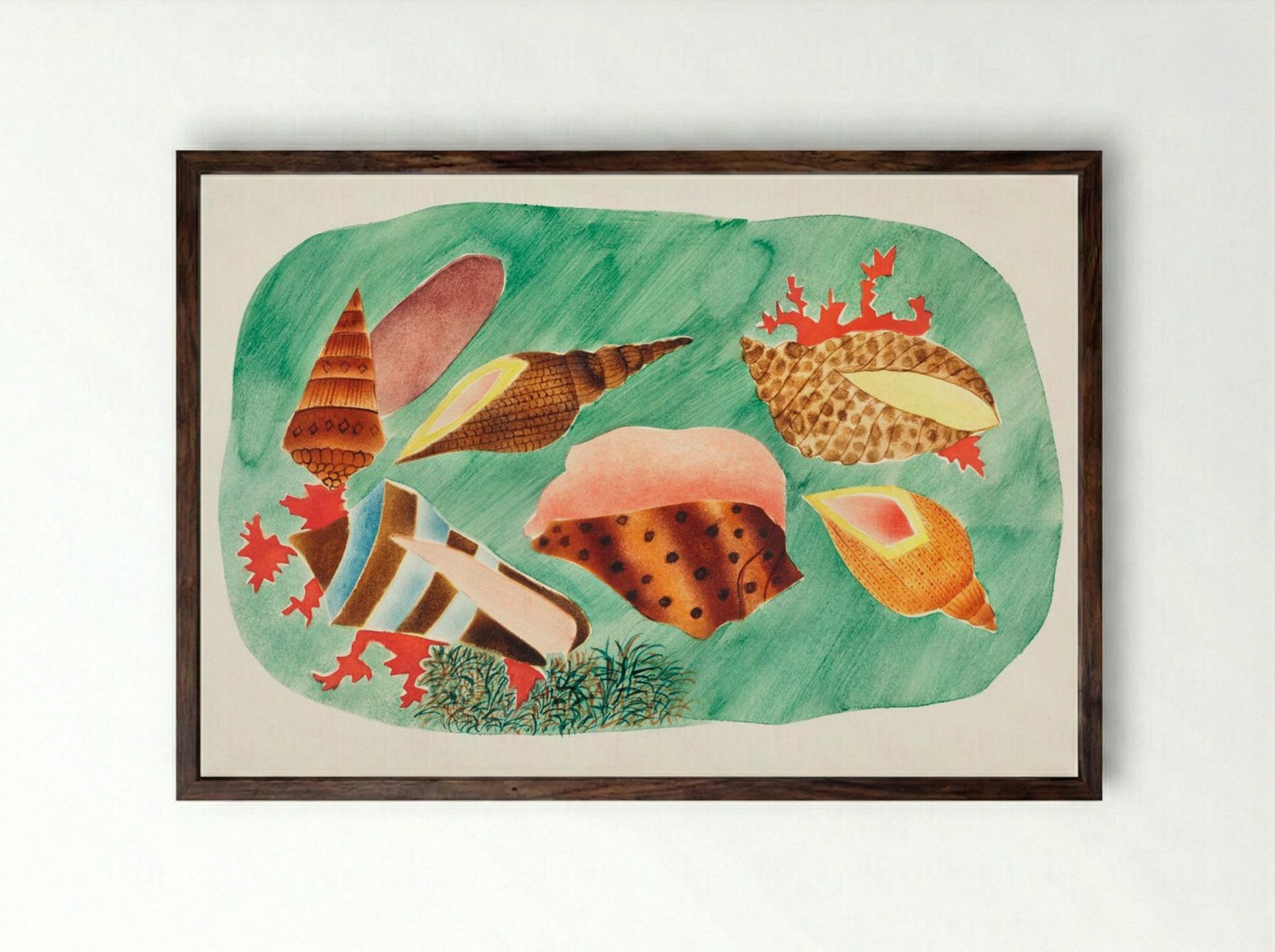 Shells in Seaweed - Mary Altha Nims - Framed Print Dark Wood