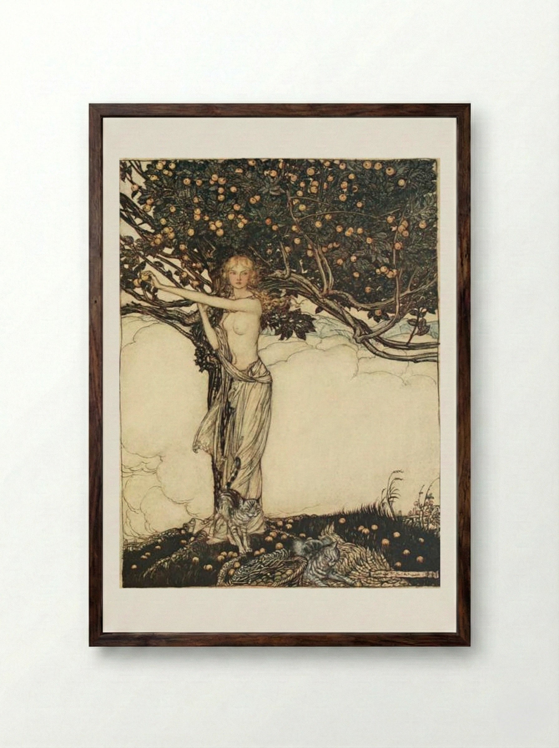 Freia, the fair one - Arthur Rackham - Framed Print Dark Wood