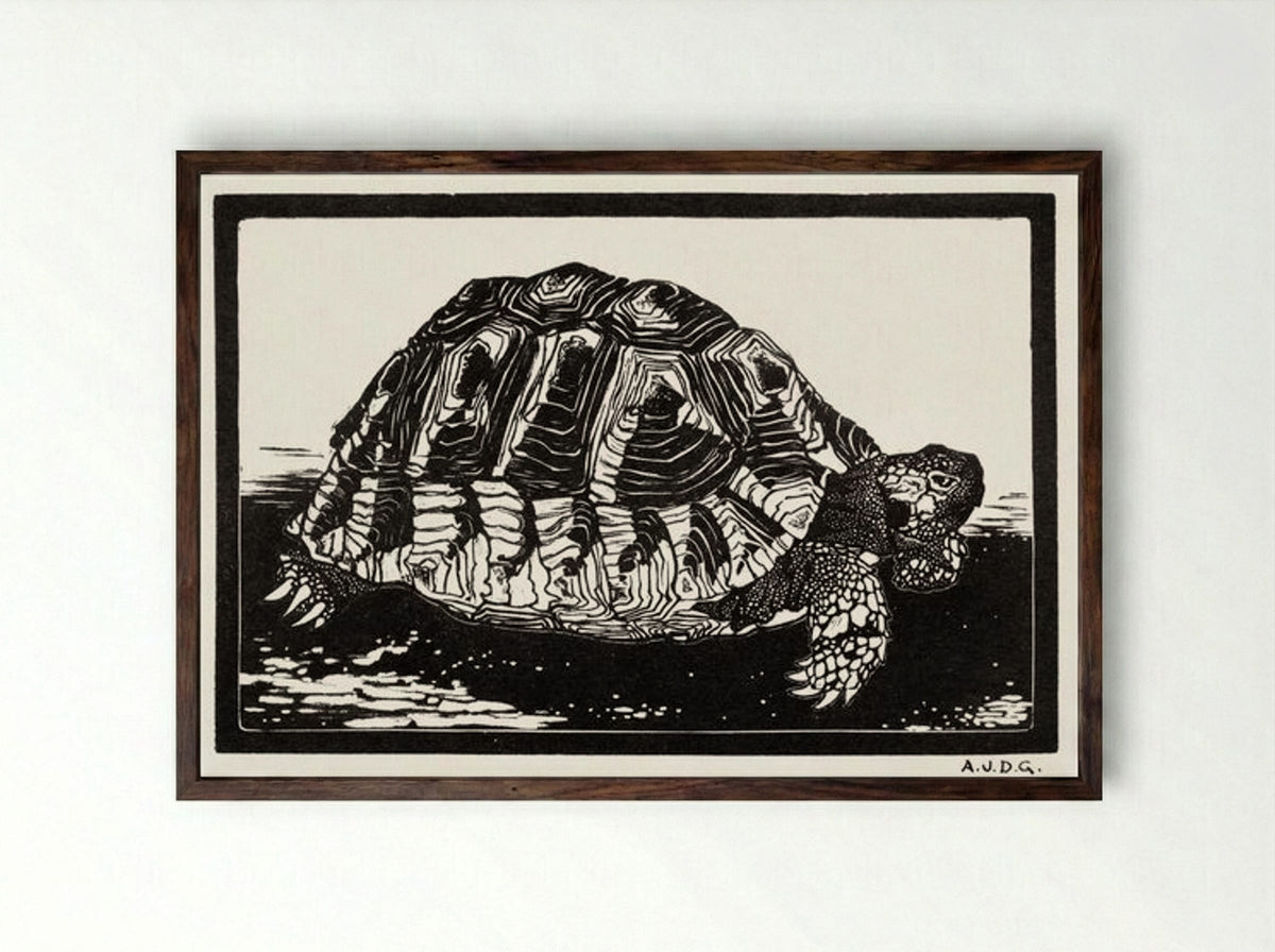 Turtle - Julie de Graag - Framed Print Dark Wood