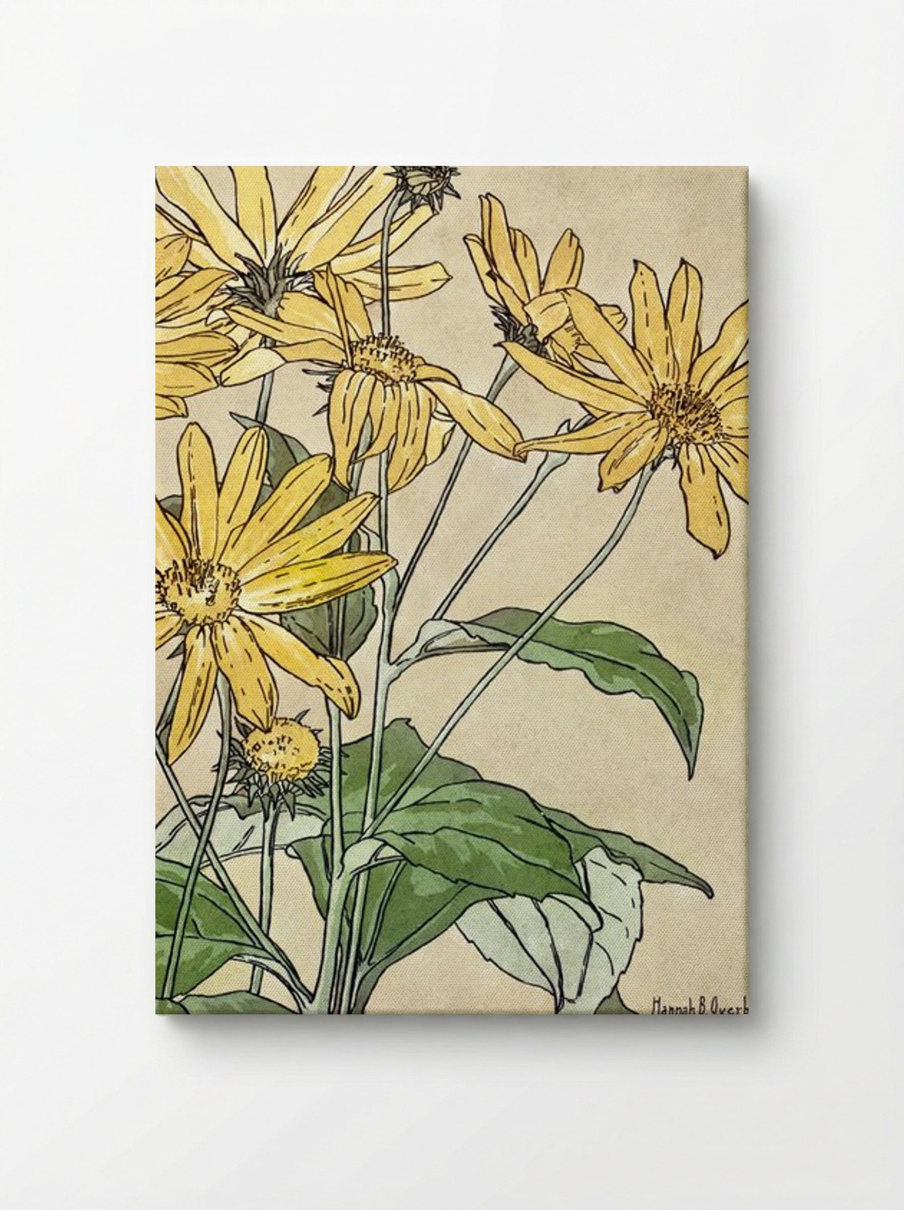 Sunflowers - Hannah Borger Overbeck - Canvas