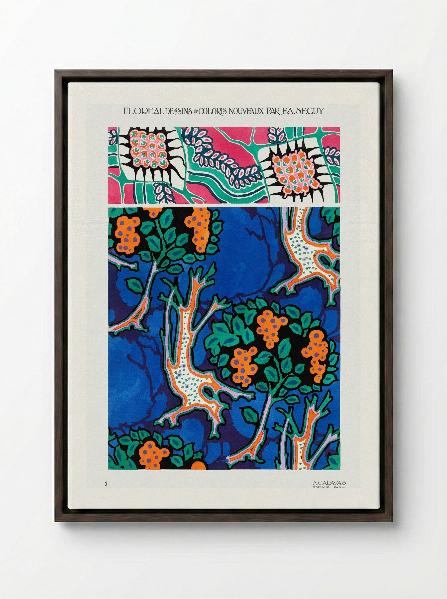 Floral Designs and Colour Schemes (Plate 4) - Émile-Allain Séguy - Framed Canvas Dark Wood