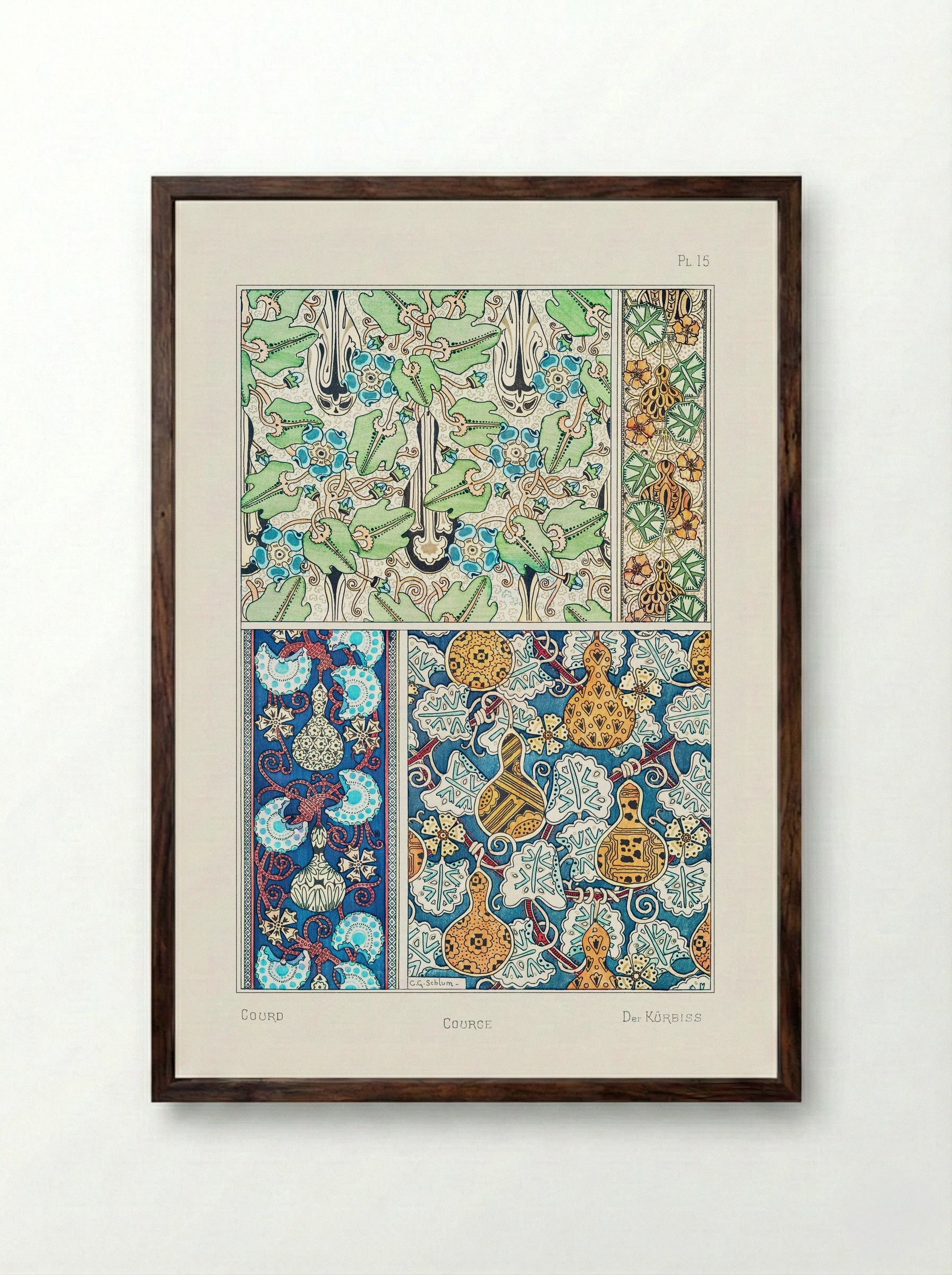 Courge (White-Flowered Gourd) from La Plante et ses Applications ornementales - Maurice Pillard Verneuil - Framed Print Dark Wood