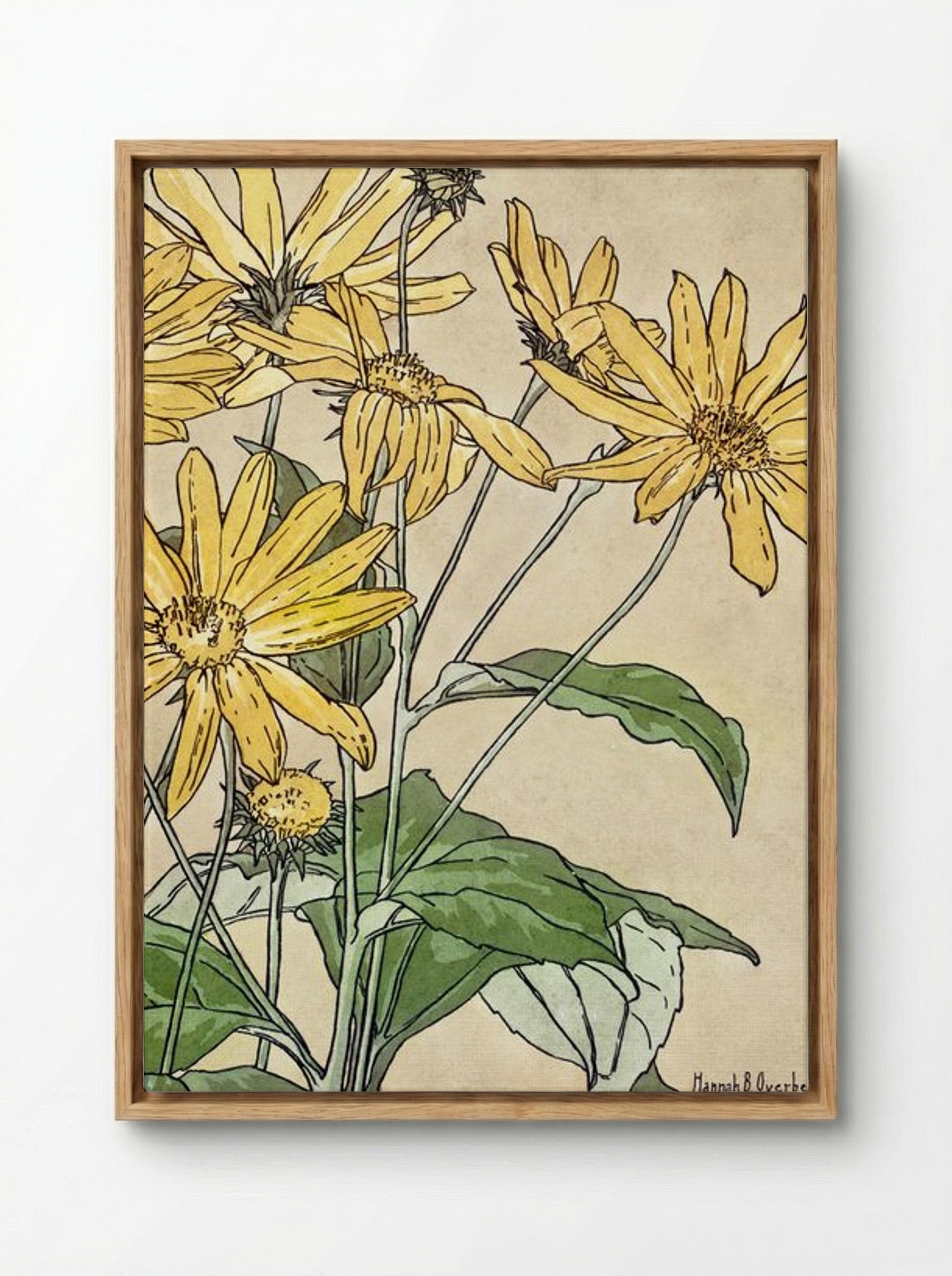 Sunflowers - Hannah Borger Overbeck - Framed Canvas Wood