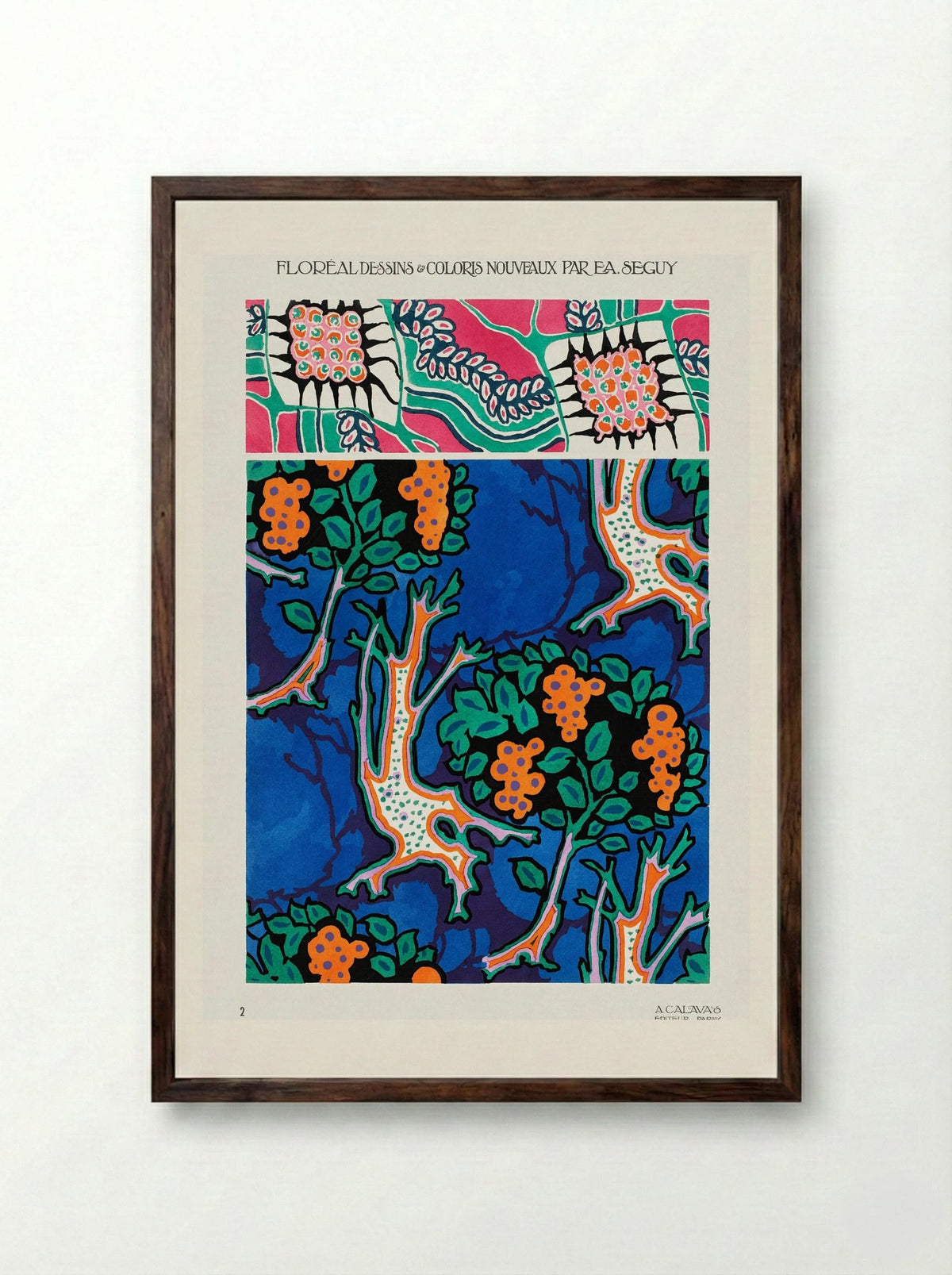 Floral Designs and Colour Schemes (Plate 4) - Émile-Allain Séguy - Framed Print Dark Wood