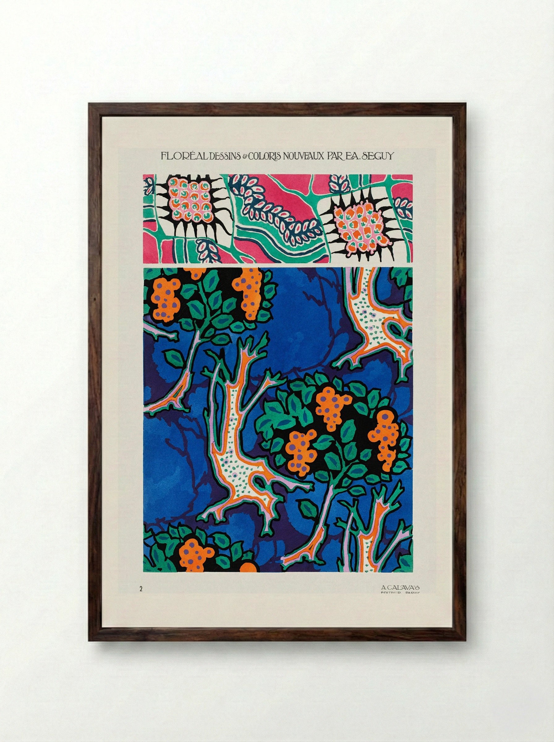 Floral Designs and Colour Schemes (Plate 4) - Émile-Allain Séguy - Framed Print Dark Wood