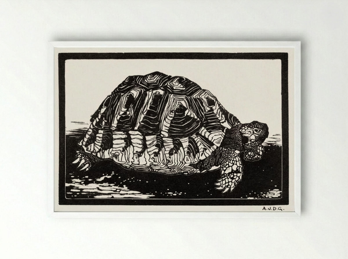 Turtle - Julie de Graag - Framed Print White
