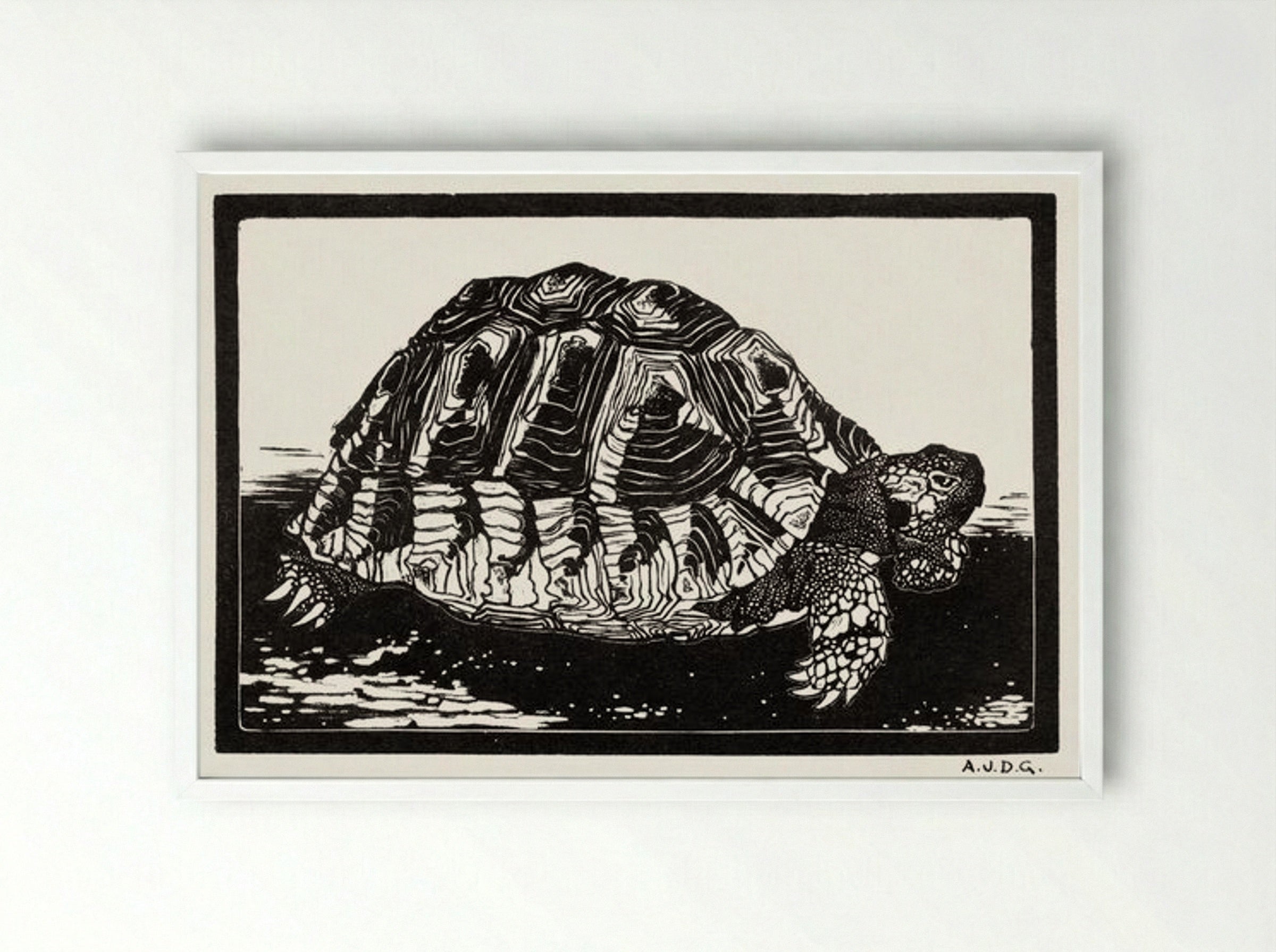 Turtle - Julie de Graag - Framed Print White