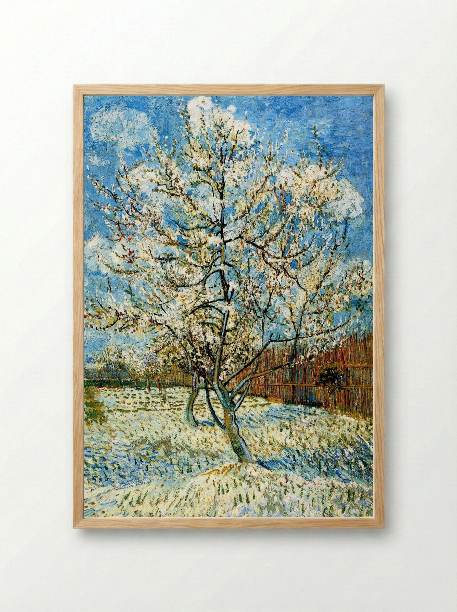 Peach Trees in Blossom - Vincent van Gogh - Framed Print Wood