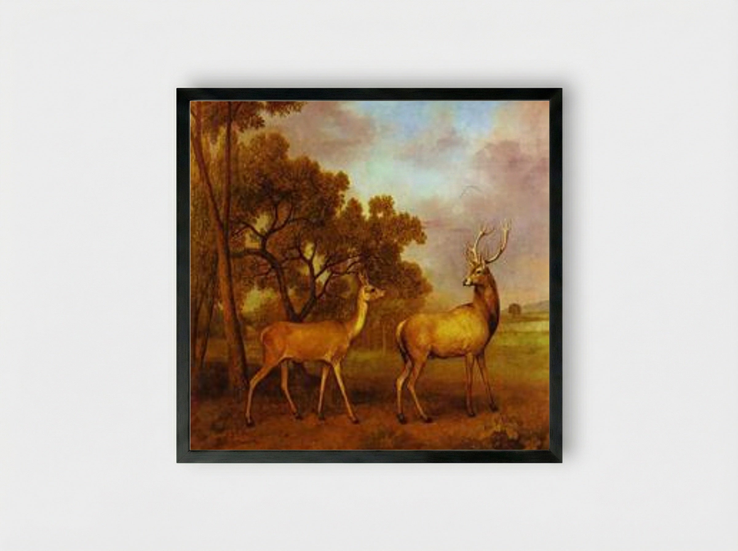 Red Deer Stag and Hind - George Stubbs - Framed Print Black