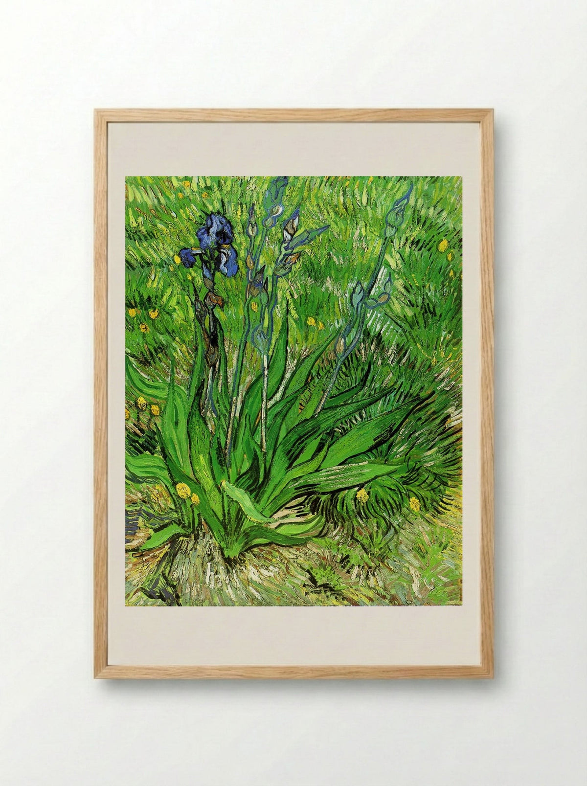 Irises - Vincent van Gogh - Framed Print Wood