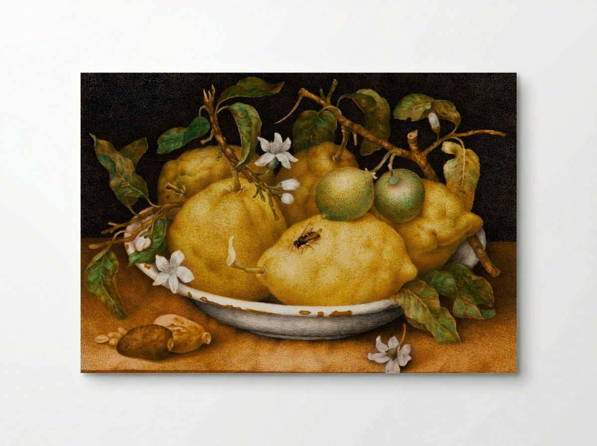 Still Life with Bowl of Citrons - Giovanna Garzoni - Poster
