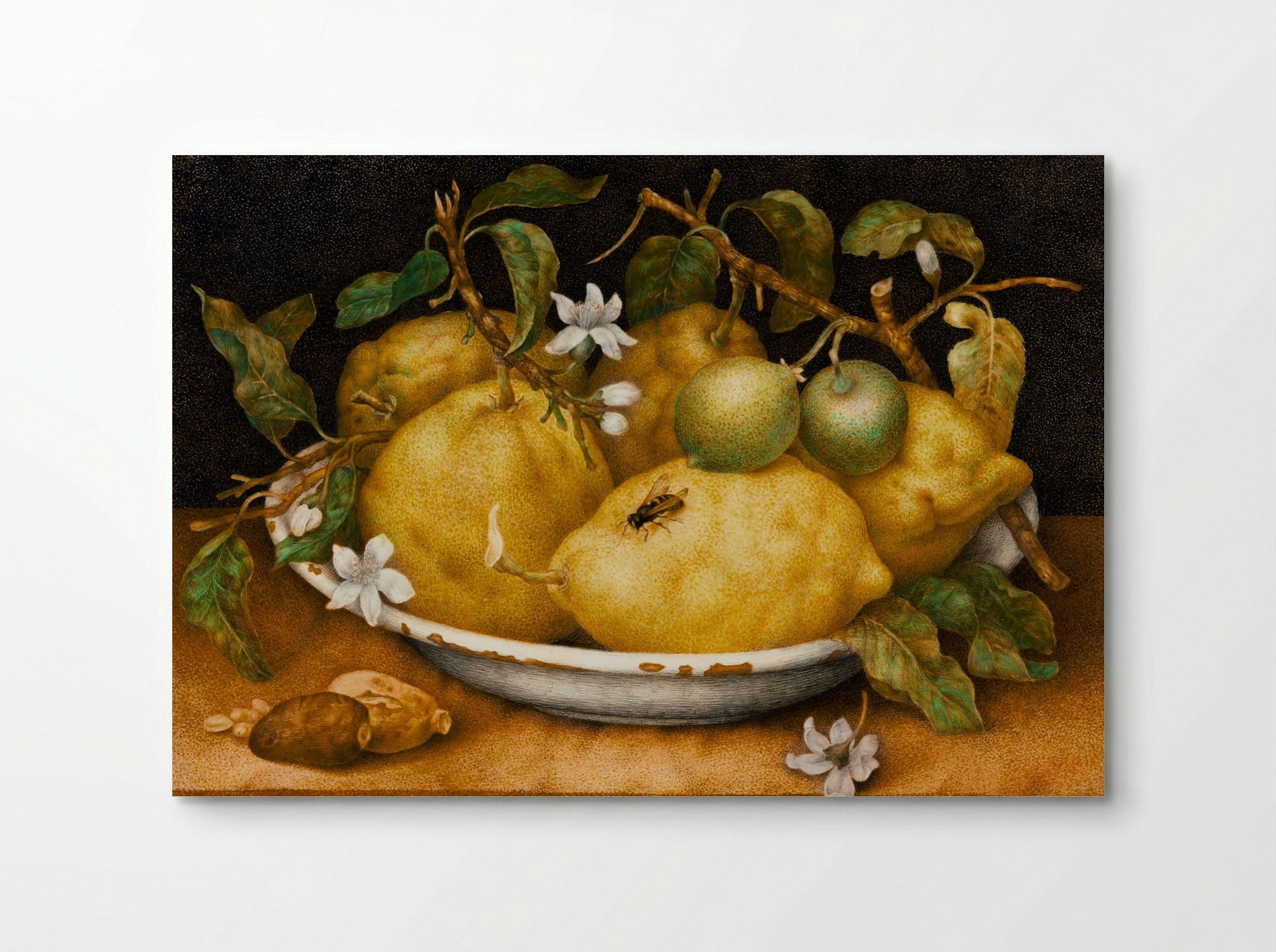 Still Life with Bowl of Citrons - Giovanna Garzoni - Poster