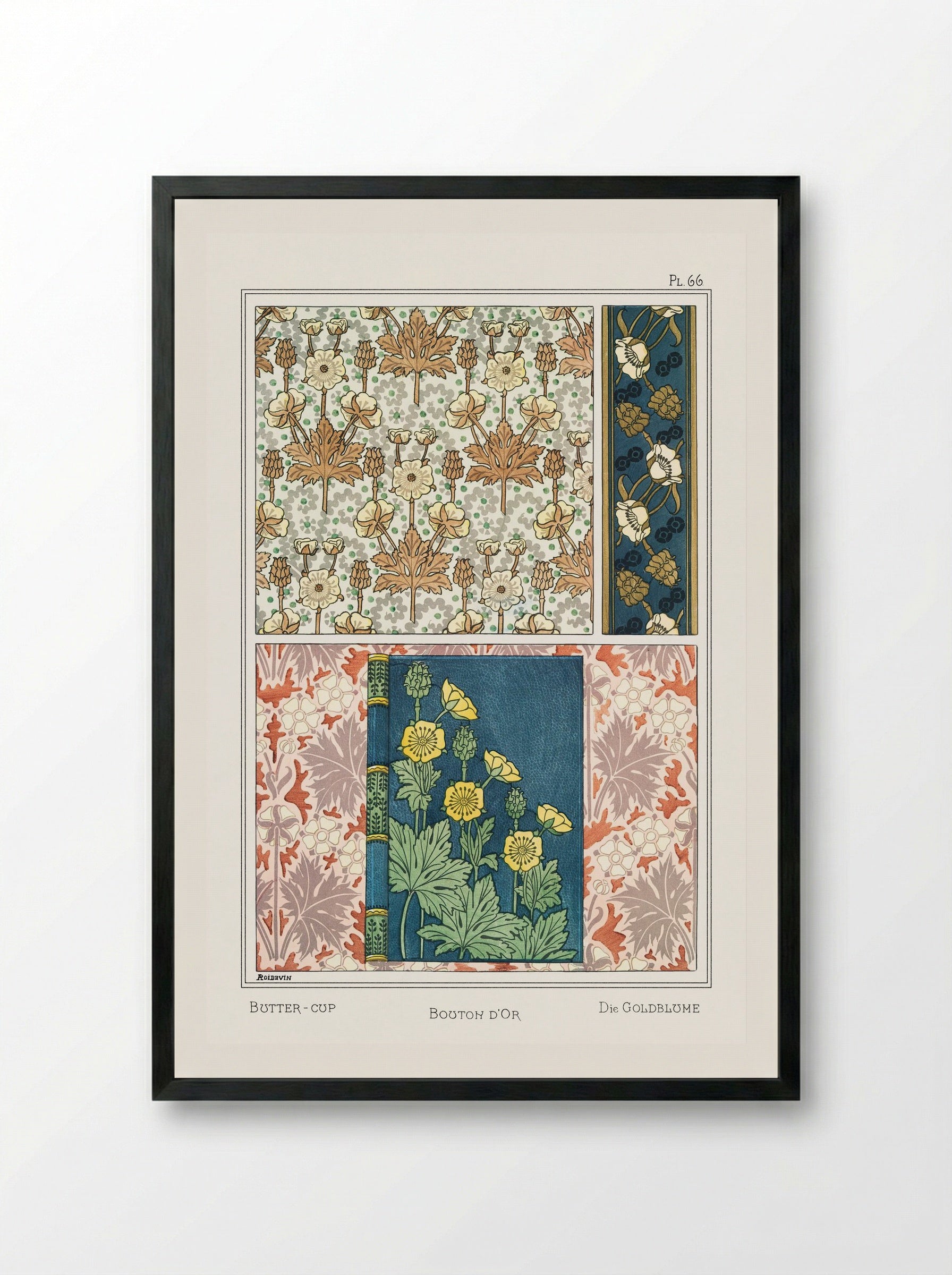 Bouton d'Or (Buttercup) from La Plante et ses Applications ornementales - Maurice Pillard Verneuil - Framed Print Black