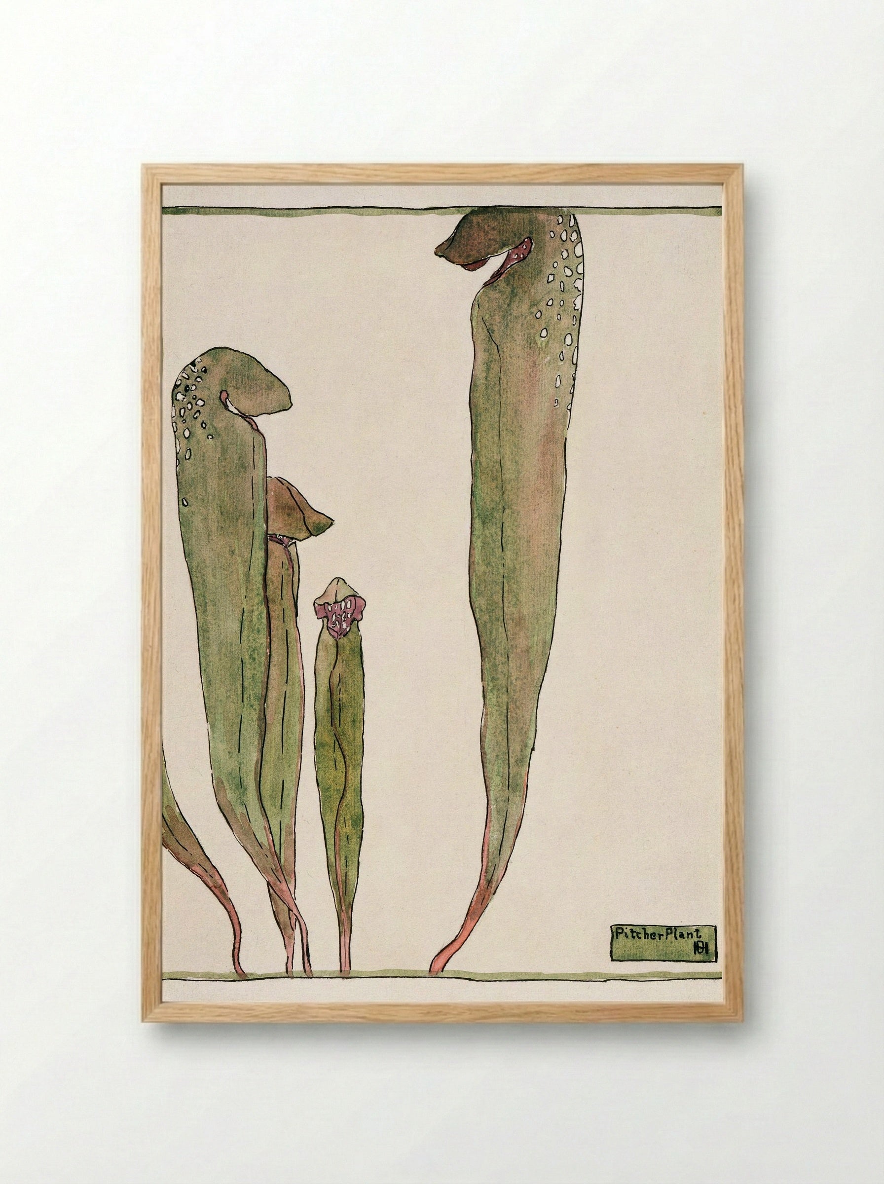 Pitcher Plant (1915) - Hannah Borger Overbeck - Framed Print Wood