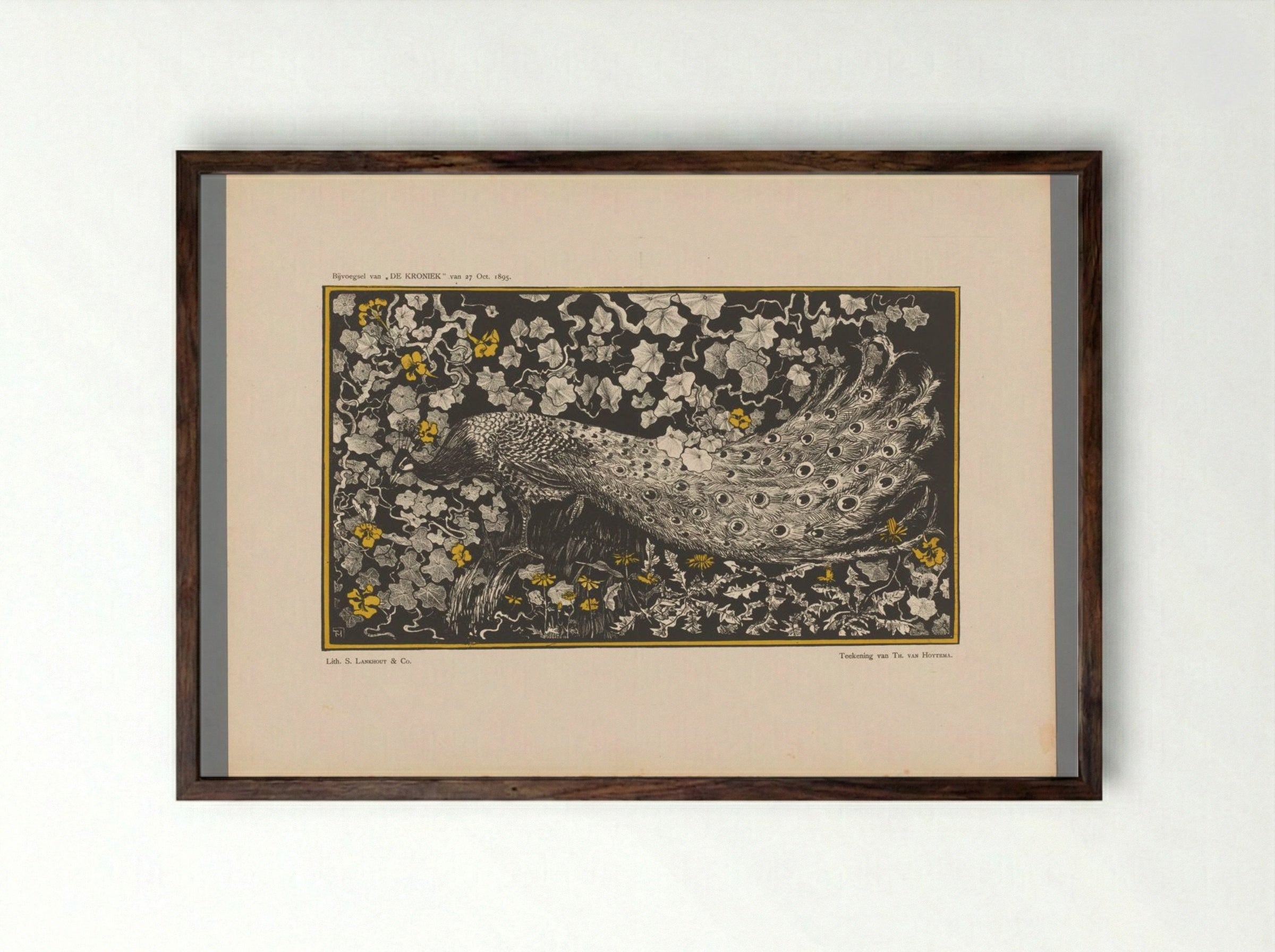 Pauw (Peacock Design) - Theo van Hoytema - Framed Print Dark Wood