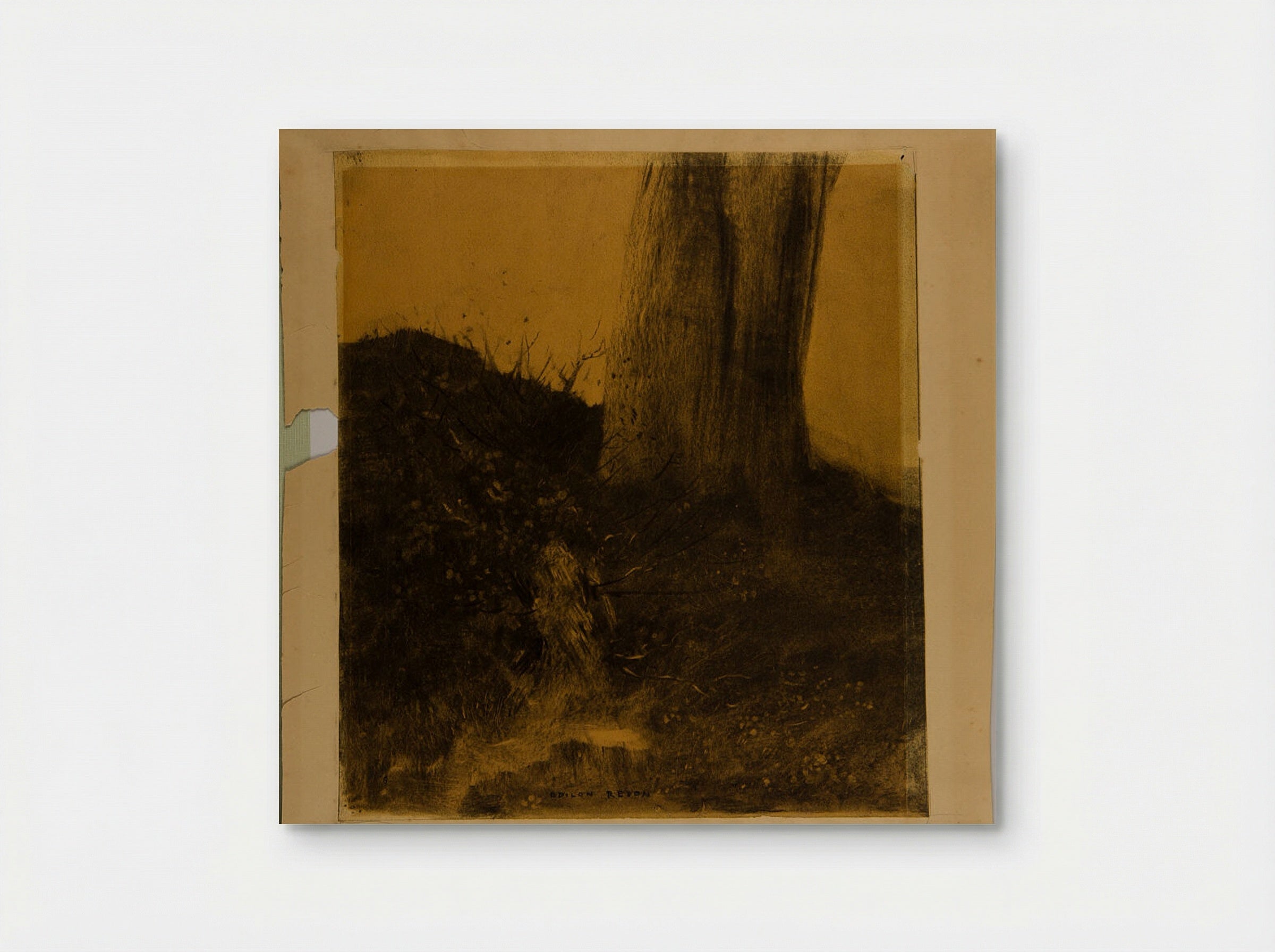 Tree and Stump - Odilon Redon - Poster