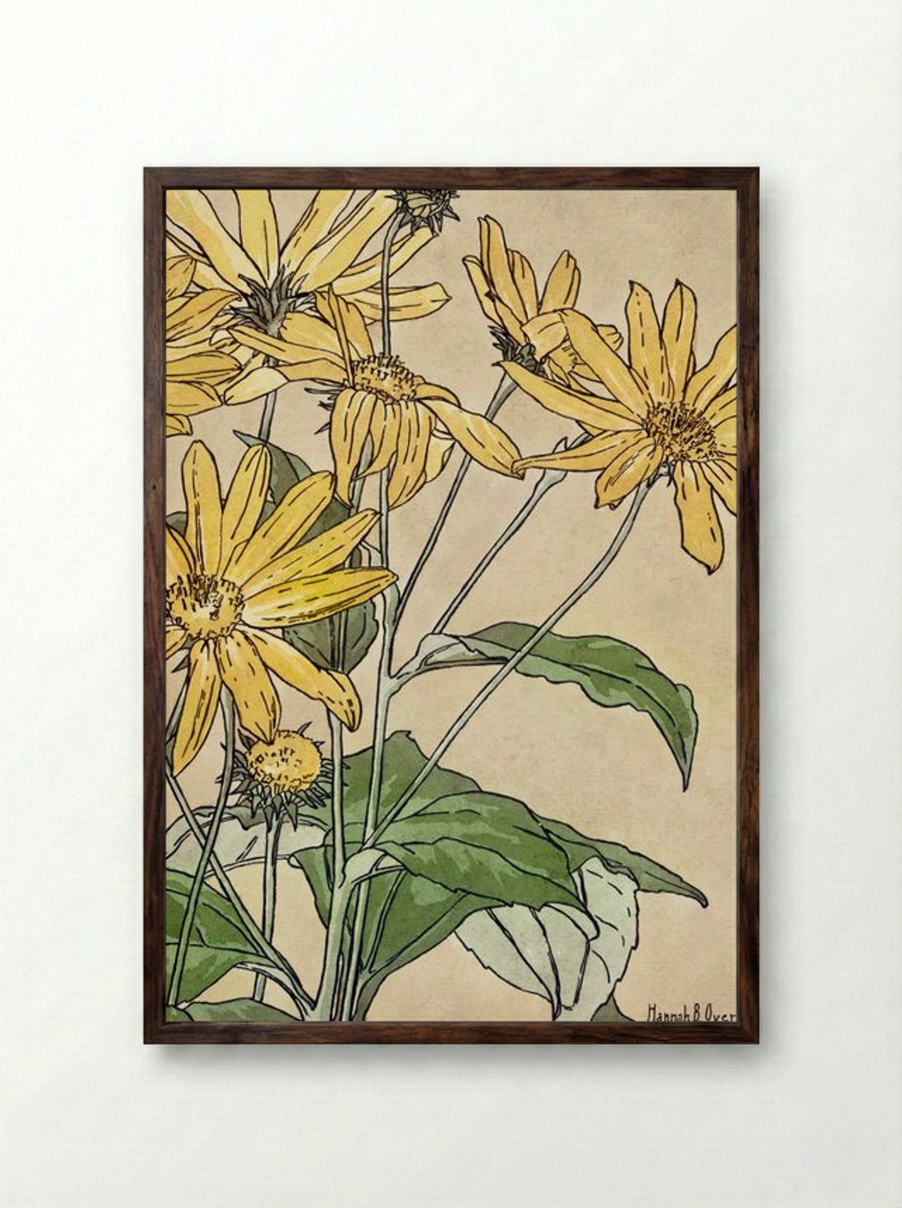 Sunflowers - Hannah Borger Overbeck - Framed Print Dark Wood