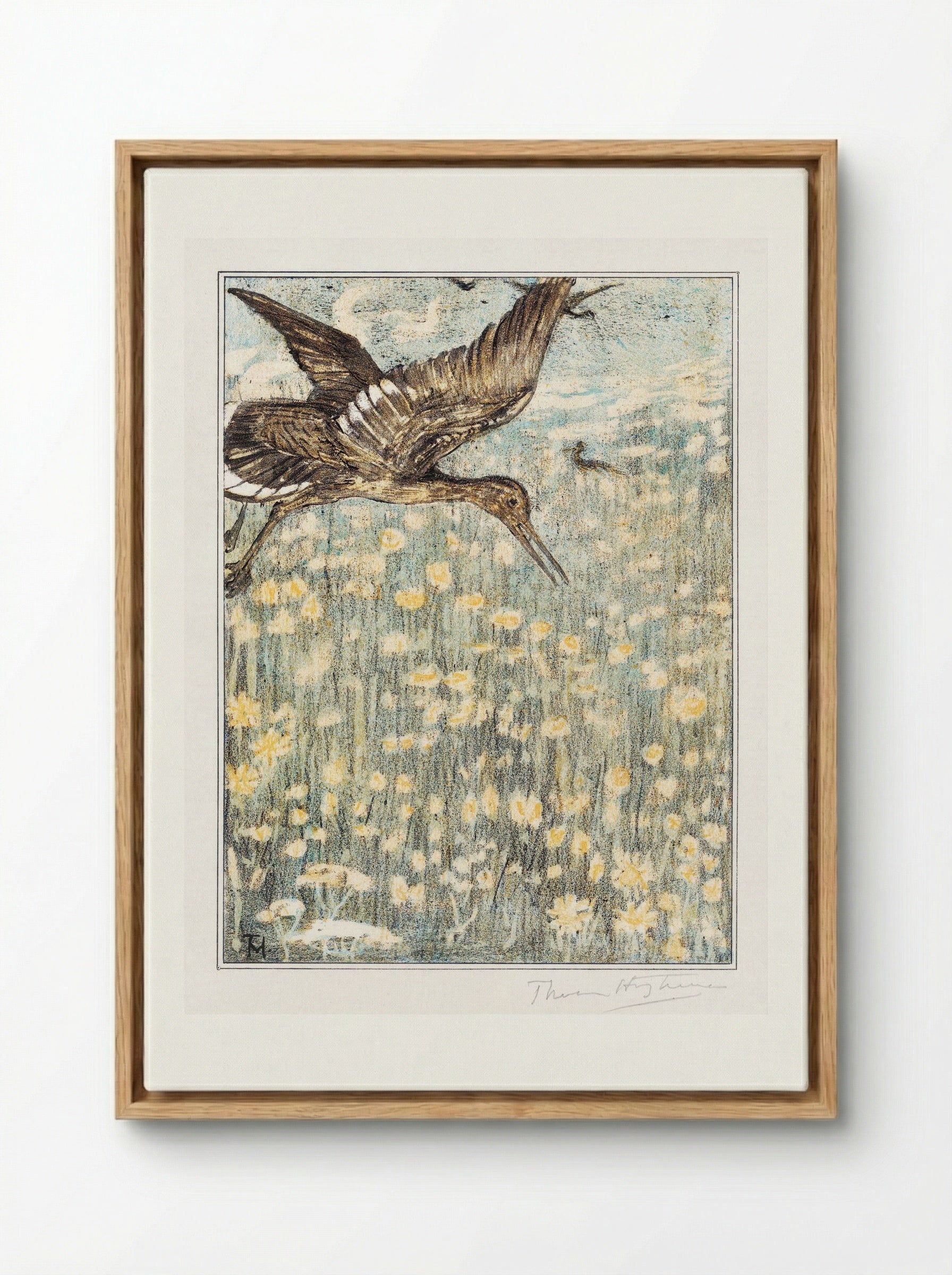 Tureluur (Redshank) - Theo van Hoytema - Framed Canvas Wood