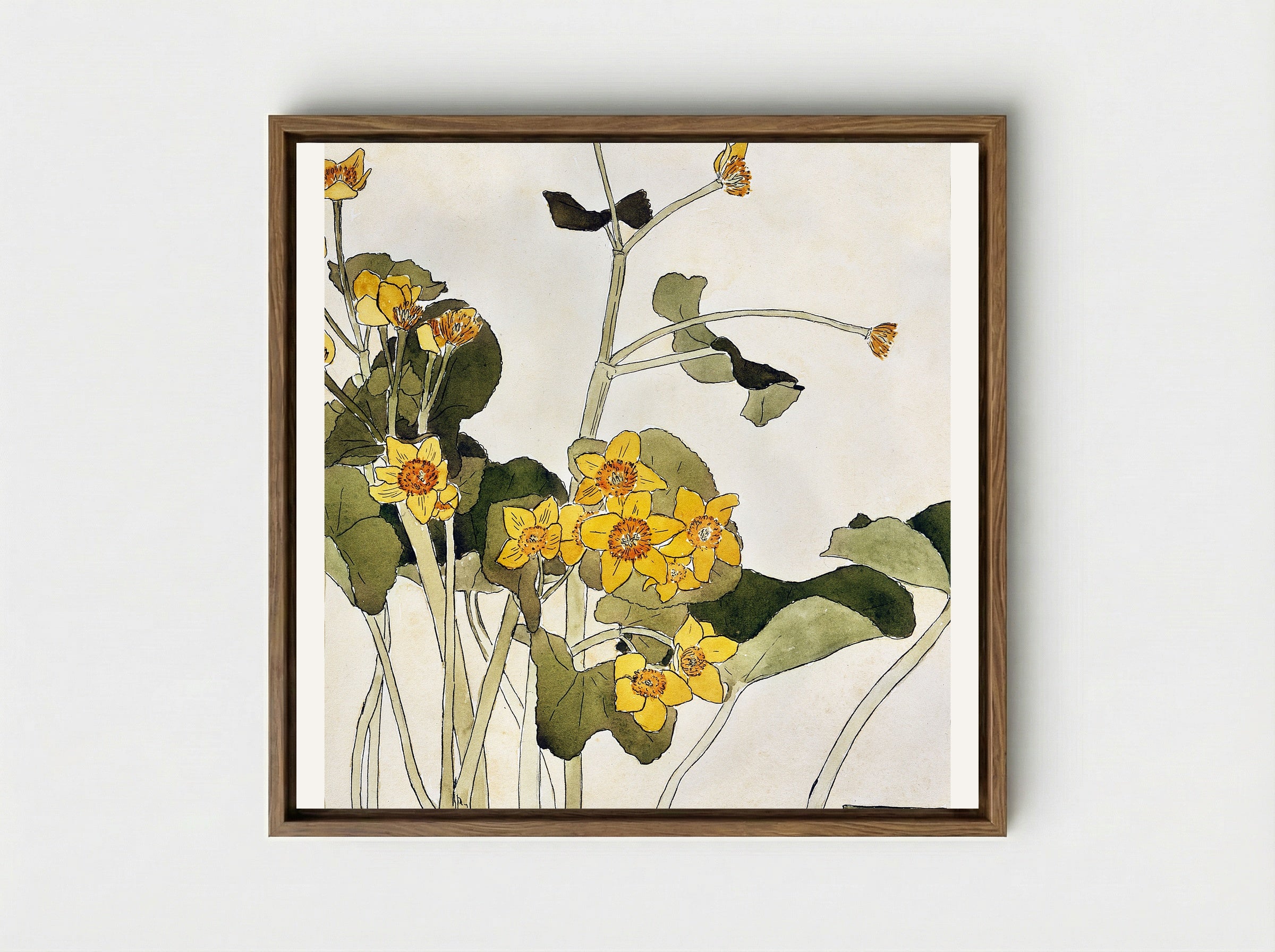 Marsh Marigold - Hannah Borger Overbeck - Framed Canvas Wood