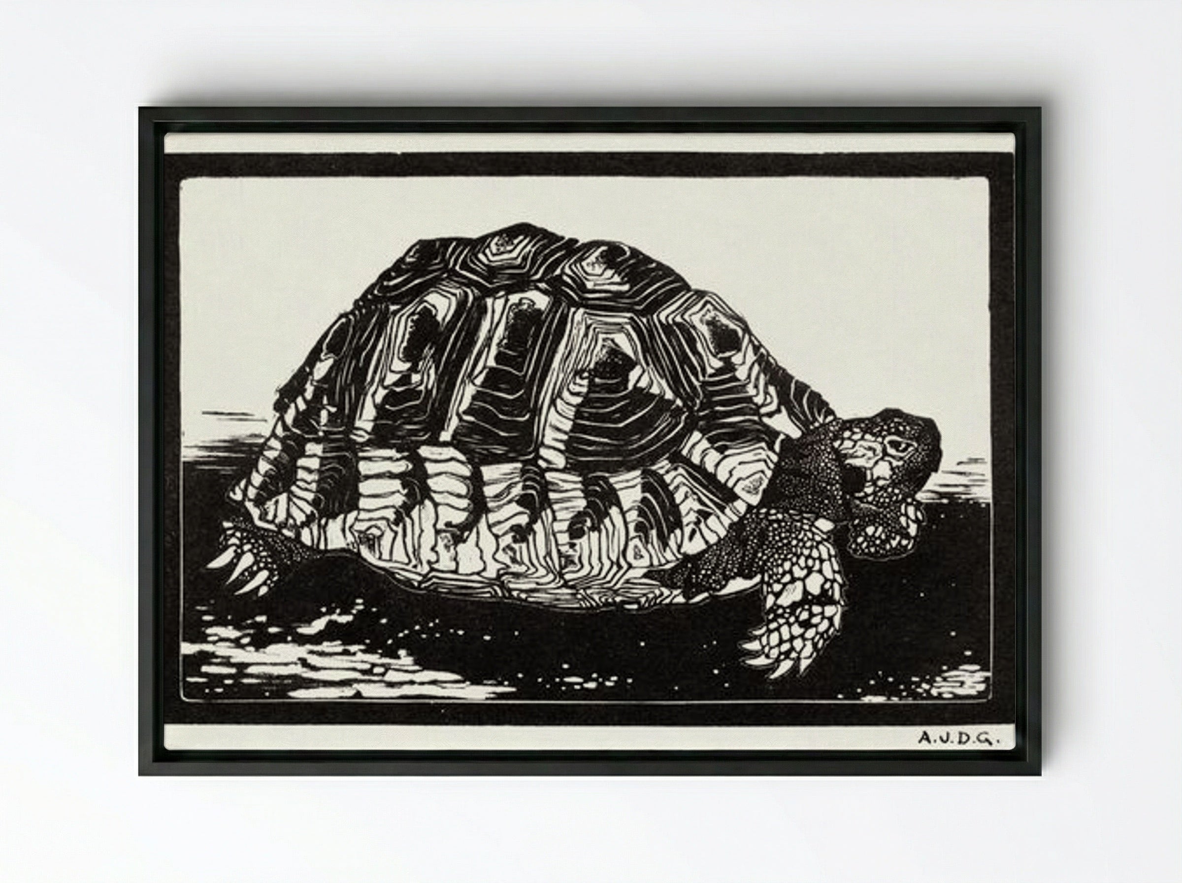 Turtle - Julie de Graag - Framed Canvas Black