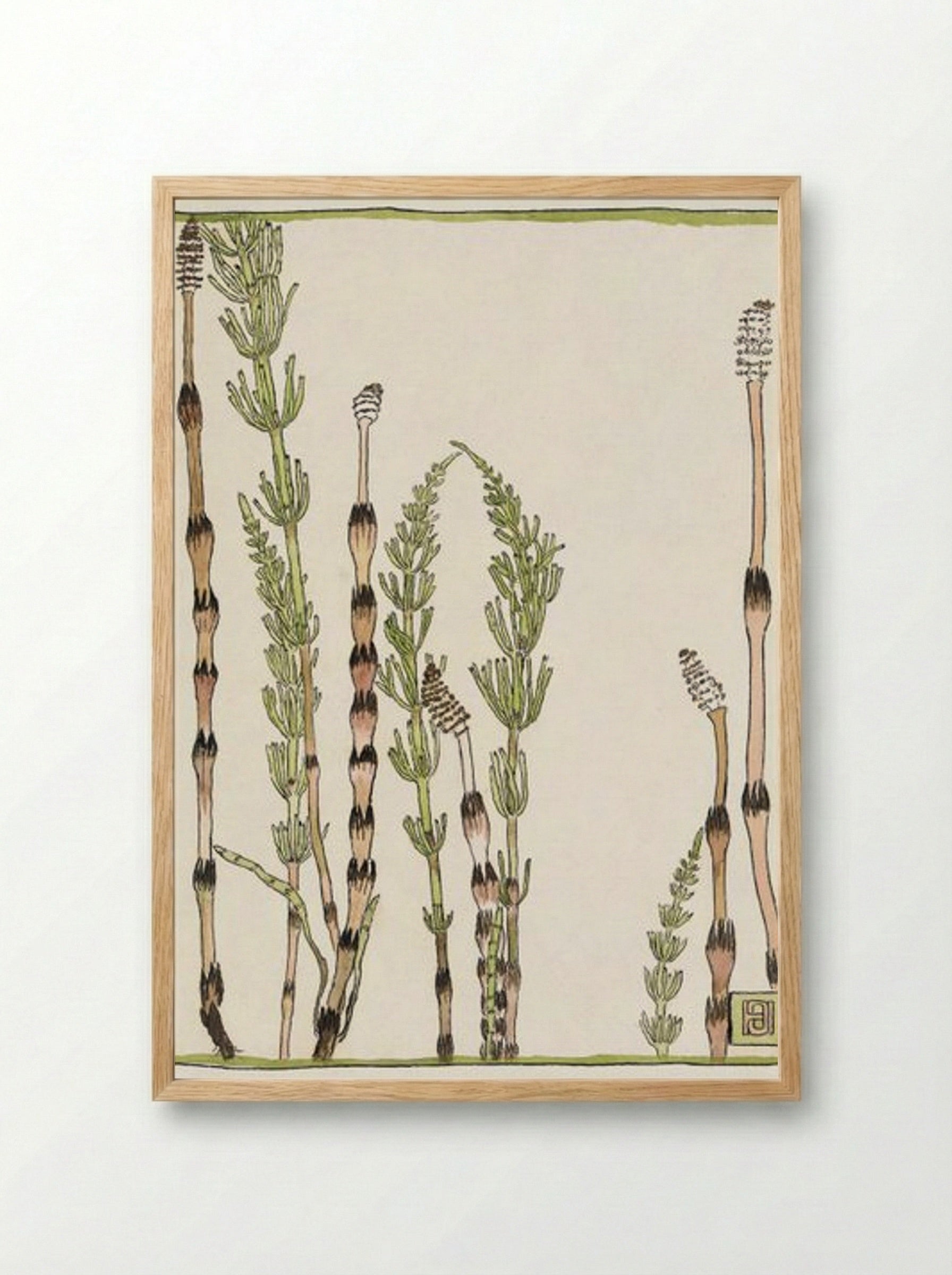 Horsetail - Hannah Borger Overbeck - Framed Print Wood