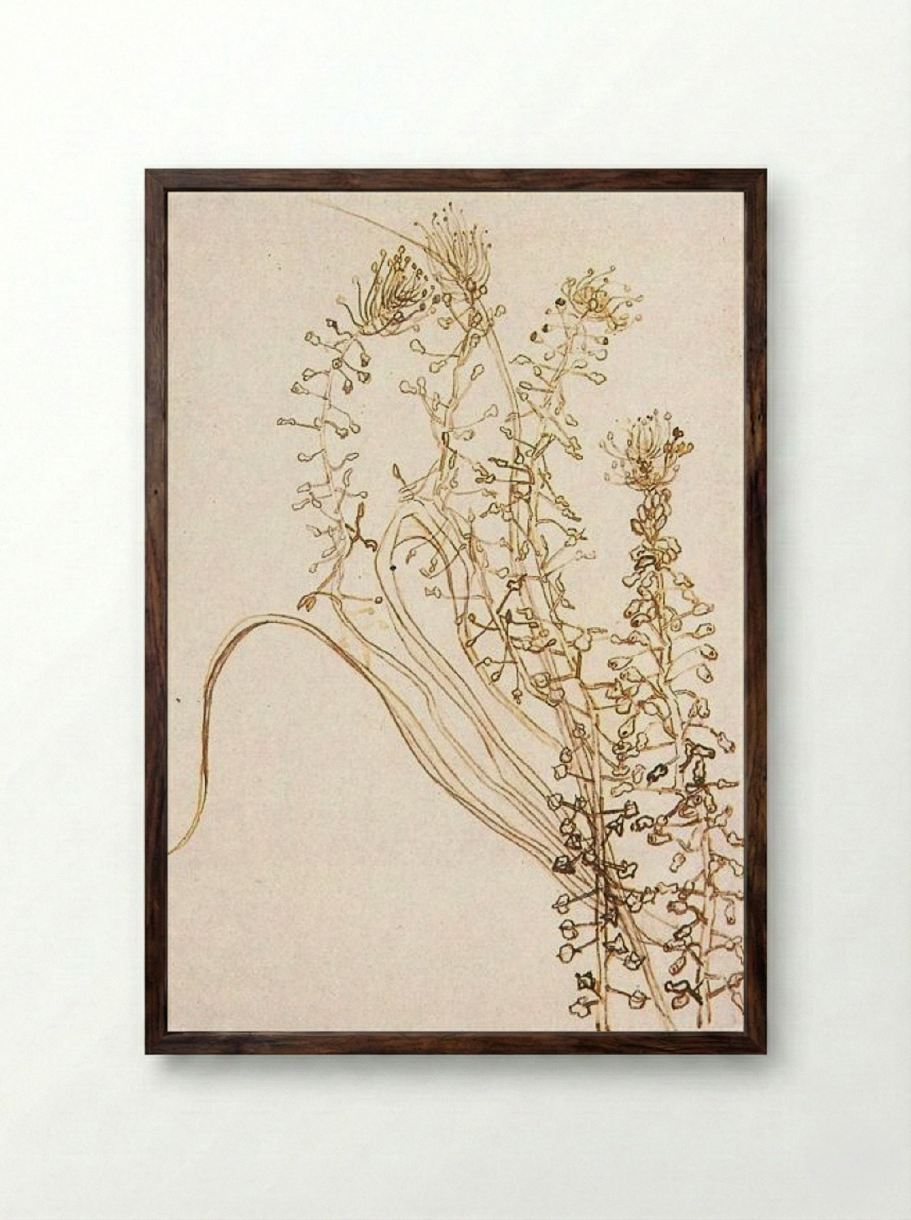 Blossoming Branches - Fine Art Print - Framed Print Dark Wood