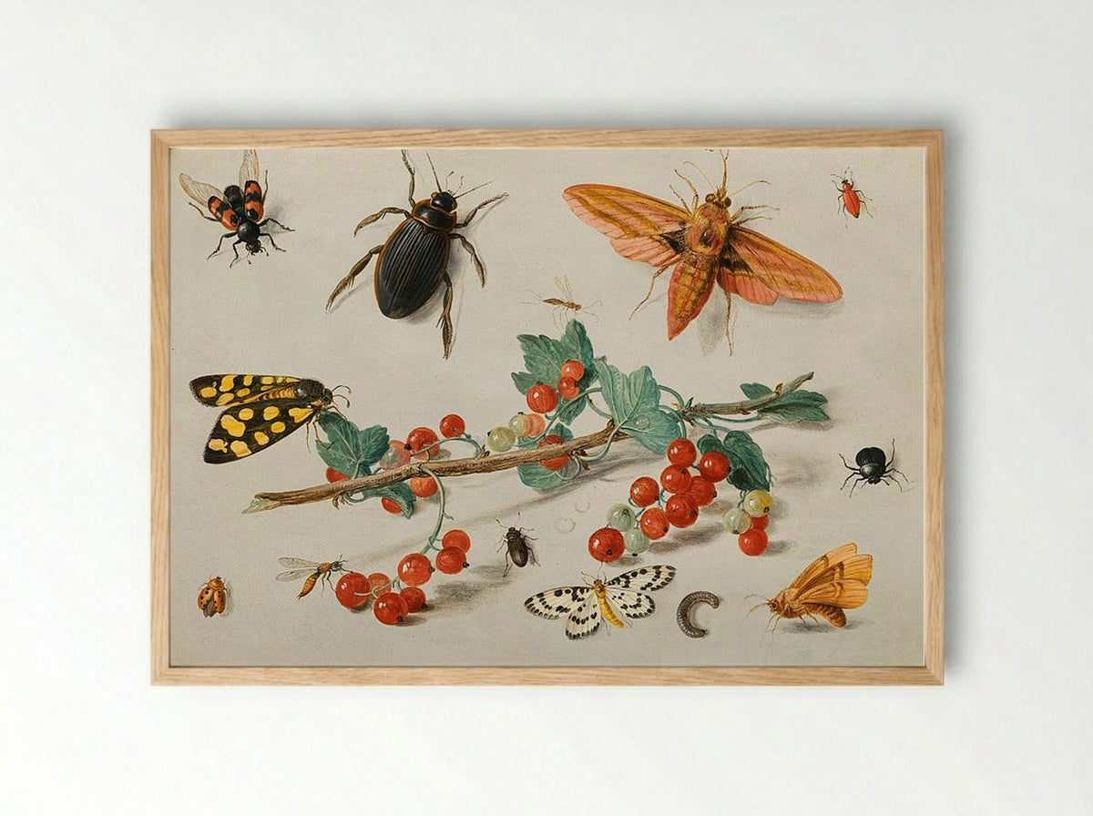 A sprig of redcurrants with an elephant hawk moth, a ladybird, a millipede and other insects - Jan van Kessel the Elder - Framed Print Wood