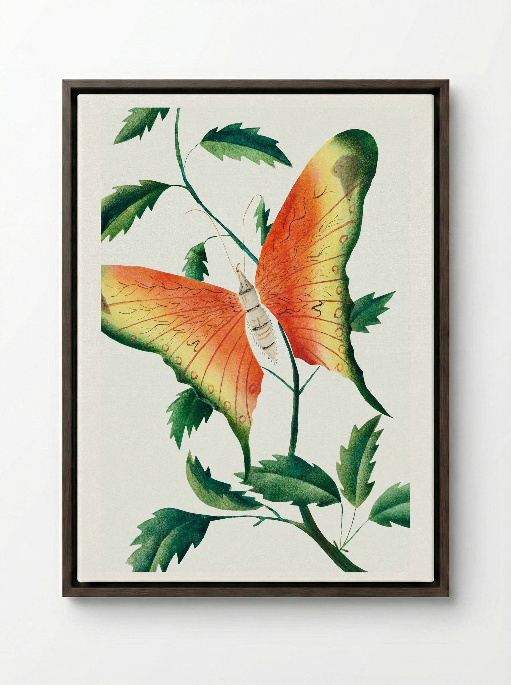 Rose Bush and Butterfly - Mary Altha Nims - Framed Canvas Dark Wood