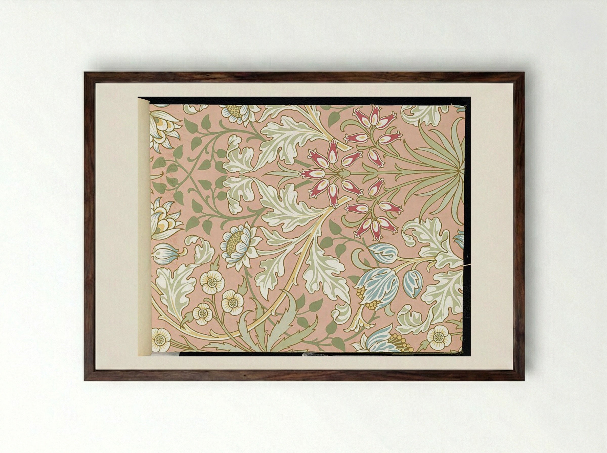 Hyacinth, Pattern No. 480 - Fine Art Print - Framed Print Dark Wood