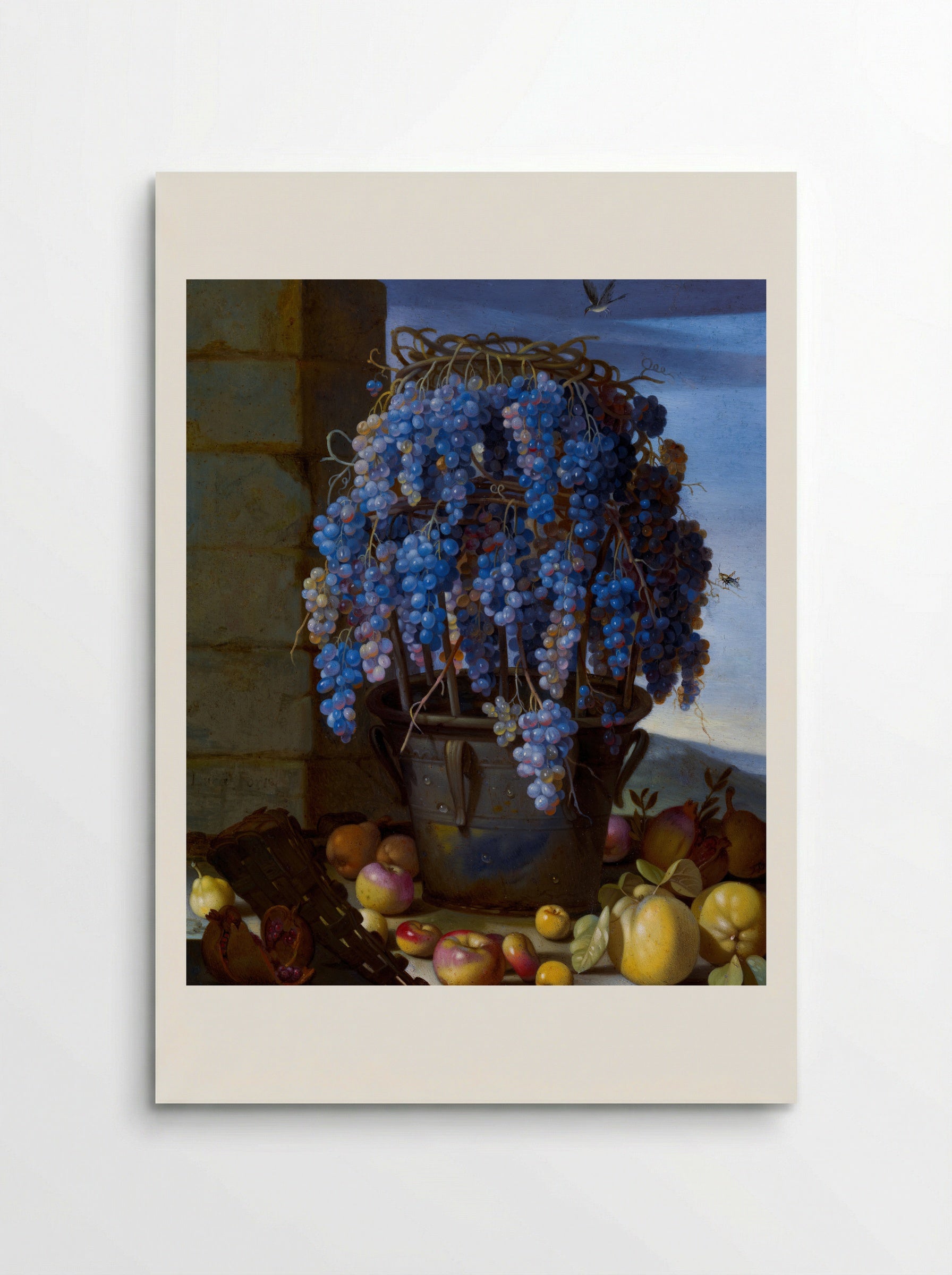 Still Life with Grapes and Other Fruit - Luca Forte - Poster