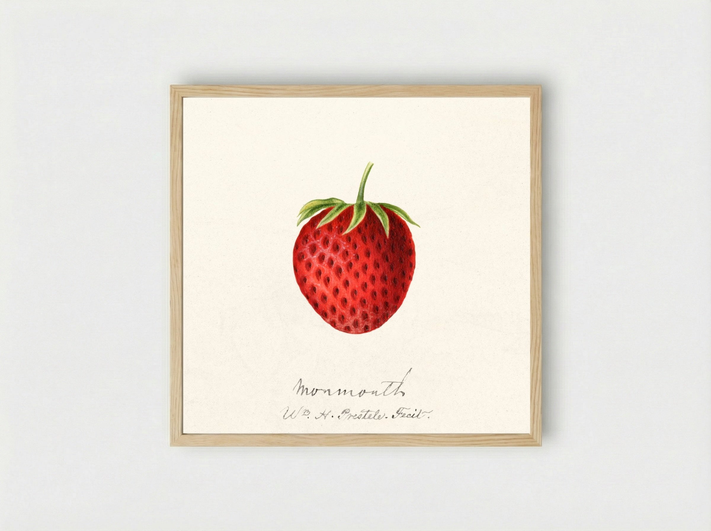 Strawberry (1891) - William Henry Prestele - Framed Print Wood