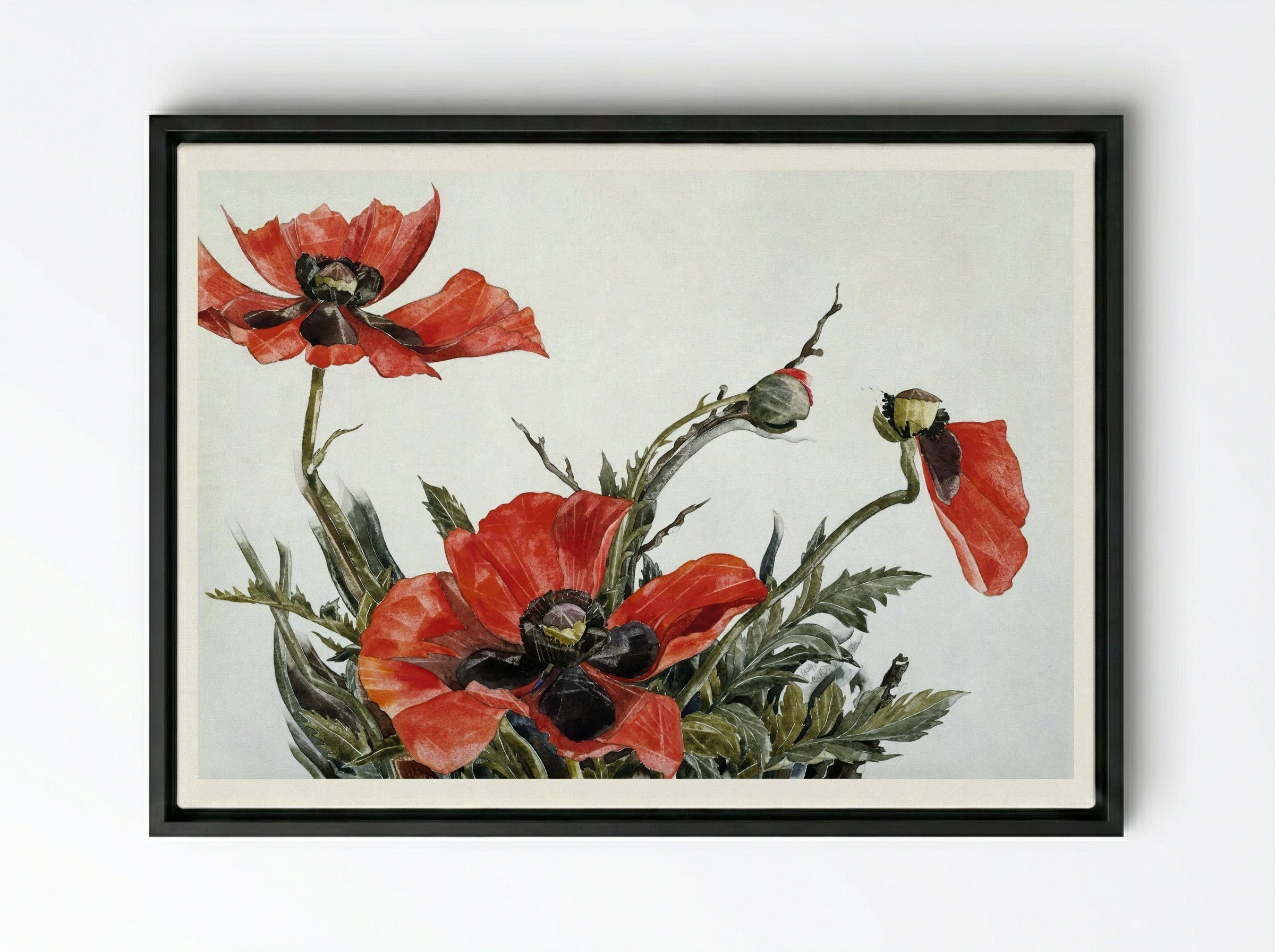 Red Poppies - Charles Demuth - Framed Canvas Black