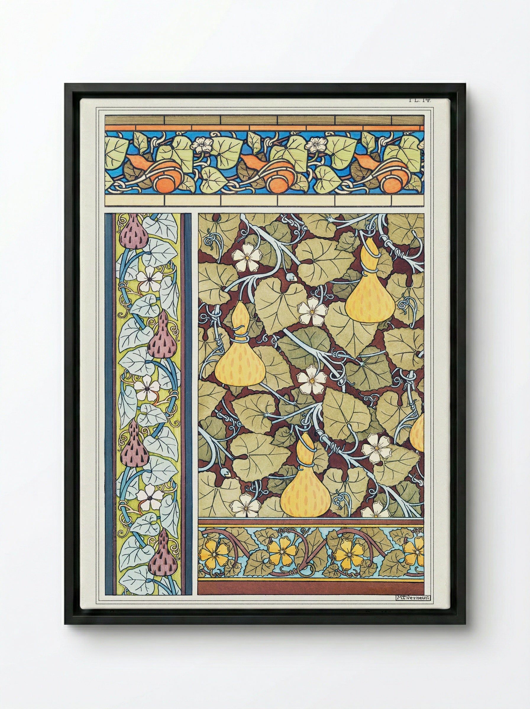 Courge (White-Flowered Gourd, Plate 14) - Maurice Pillard Verneuil - Framed Canvas Black