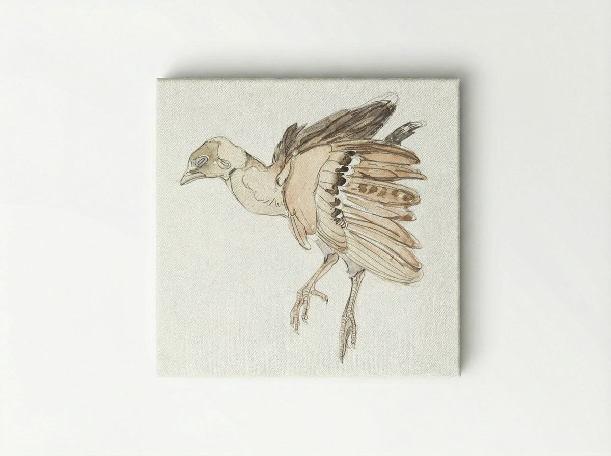 Dood vogeltje (Patrijs) - Theo van Hoytema - Canvas