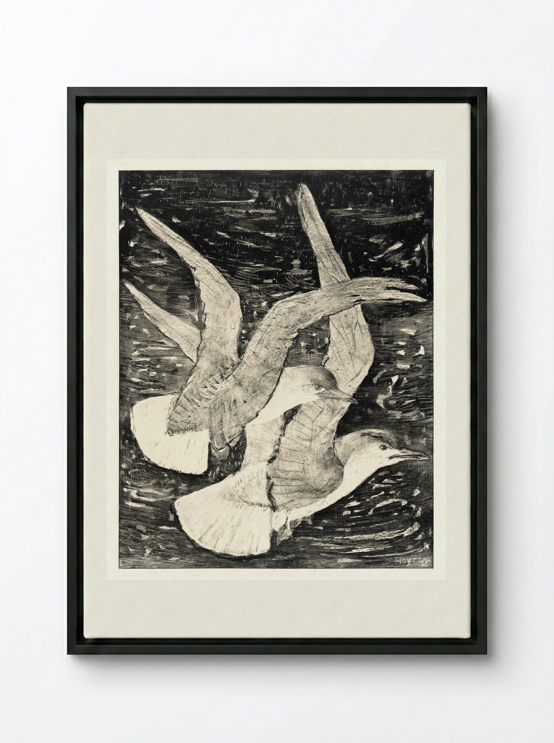 Two Flying Gulls - Theo van Hoytema - Framed Canvas Black