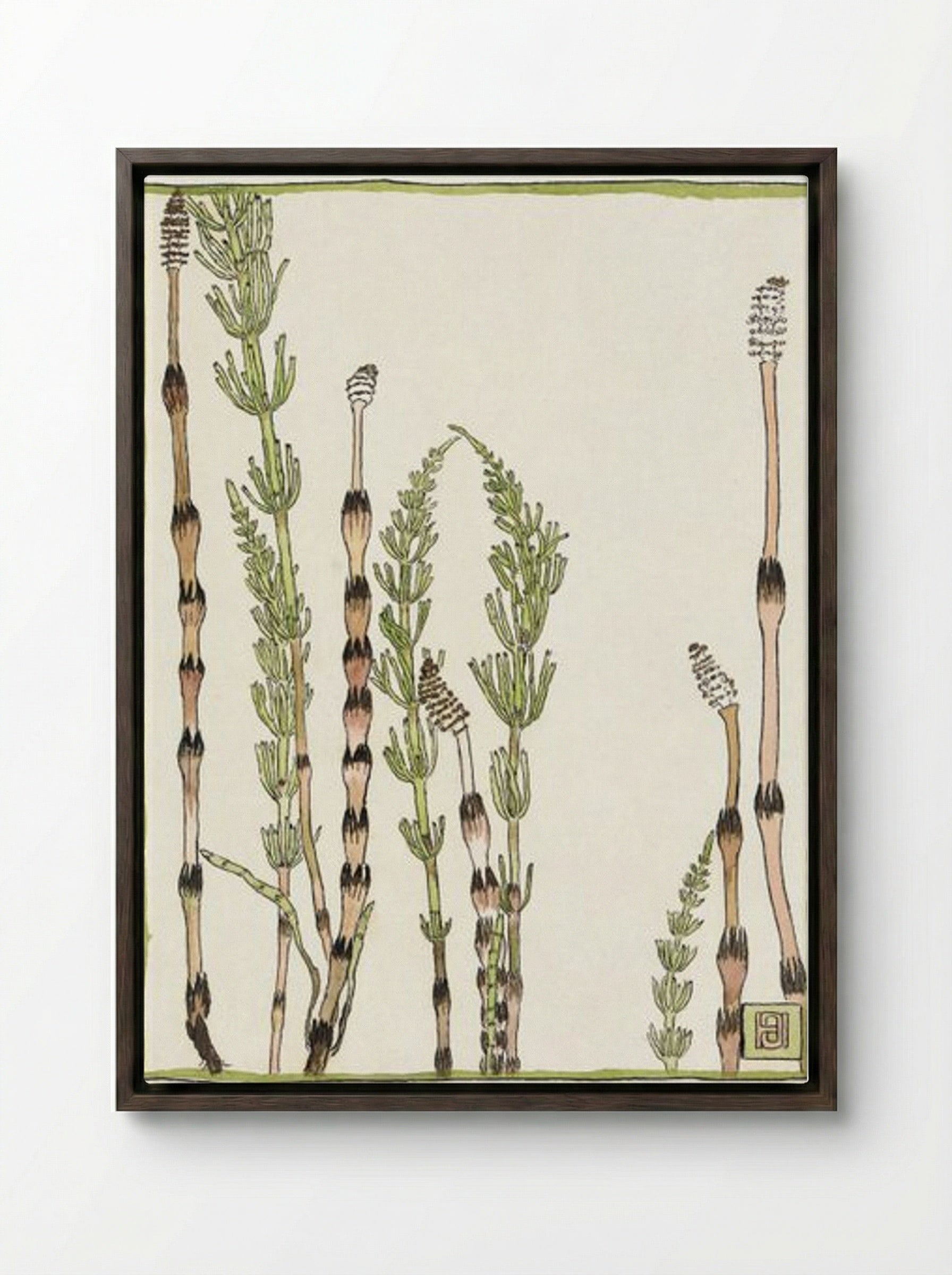 Horsetail - Hannah Borger Overbeck - Framed Canvas Dark Wood
