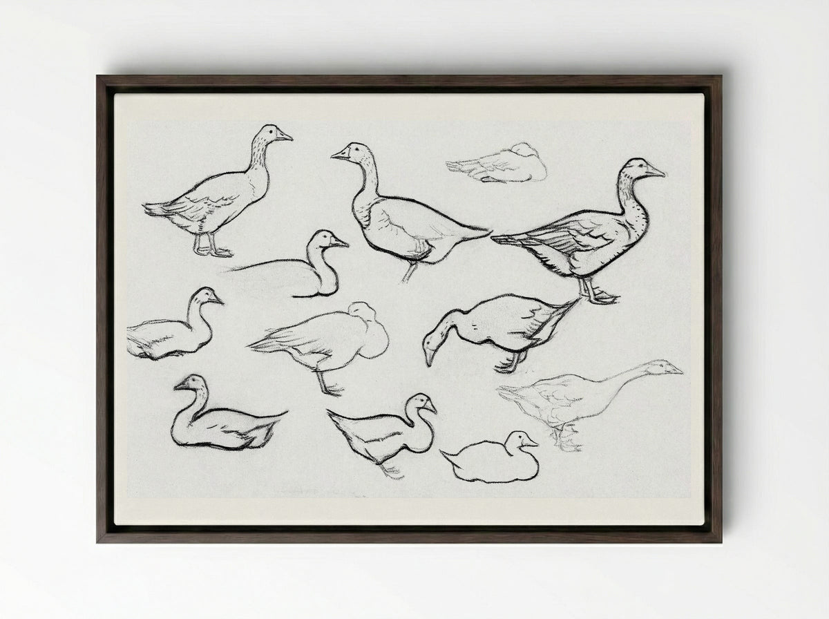 Study of Geese - Julie de Graag - Framed Canvas Dark Wood