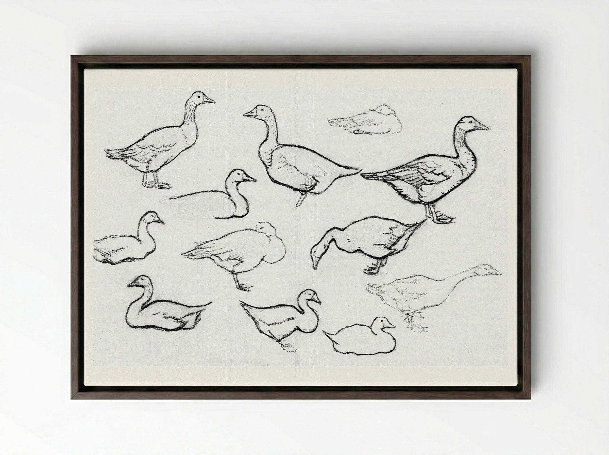 Study of Geese - Julie de Graag - Framed Canvas Dark Wood