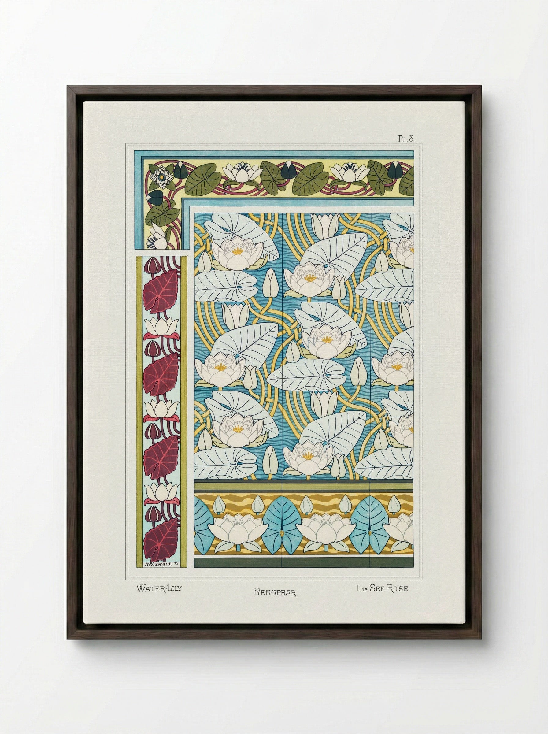 Nénuphar (Water Lilies) from La Plante et ses Applications ornementales - Maurice Pillard Verneuil - Framed Canvas Dark Wood